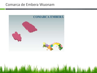Comarca de Embera Wuonam
 