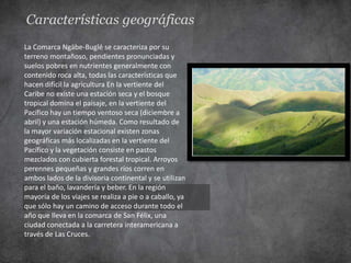 Características geográficas
La Comarca Ngäbe-Buglé se caracteriza por su
terreno montañoso, pendientes pronunciadas y
suelos pobres en nutrientes generalmente con
contenido roca alta, todas las características que
hacen difícil la agricultura En la vertiente del
Caribe no existe una estación seca y el bosque
tropical domina el paisaje, en la vertiente del
Pacífico hay un tiempo ventoso seca (diciembre a
abril) y una estación húmeda. Como resultado de
la mayor variación estacional existen zonas
geográficas más localizadas en la vertiente del
Pacífico y la vegetación consiste en pastos
mezclados con cubierta forestal tropical. Arroyos
perennes pequeñas y grandes ríos corren en
ambos lados de la divisoria continental y se utilizan
para el baño, lavandería y beber. En la región
mayoría de los viajes se realiza a pie o a caballo, ya
que sólo hay un camino de acceso durante todo el
año que lleva en la comarca de San Félix, una
ciudad conectada a la carretera interamericana a
través de Las Cruces.
 