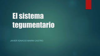 El sistema
tegumentario
JAVIER IGNACIO MARIN CASTRO
 