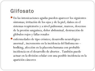 Glifosato
En las intoxicaciones agudas pueden aparecer los siguientes
 síntomas; irritación de los ojos y de la piel, daños en el
 sistemas respiratorio y a nivel pulmonar, mareos, descenso
 de la presión sanguínea, dolor abdominal, destrucción de
 glóbulos rojos y fallas renales
enfermedades de tipo crónico; desarrollo neurológico
 anormal , incremento en la incidencia del linfoma no –
 hodking, afección en la placenta humana con probable
 incidencia en el desarrollo de abortos . También puede
 actuar en la división celular con una posible incidencia en la
 aparición cánceres
 