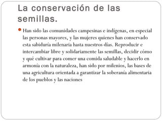 La conservación de las
semillas.
Han sido las comunidades campesinas e indígenas, en especial
  las personas mayores, y las mujeres quienes han conservado
  esta sabiduría milenaria hasta nuestros días. Reproducir e
  intercambiar libre y solidariamente las semillas, decidir cómo
  y qué cultivar para comer una comida saludable y hacerlo en
  armonía con la naturaleza, han sido por milenios, las bases de
  una agricultura orientada a garantizar la soberanía alimentaria
  de los pueblos y las naciones
 