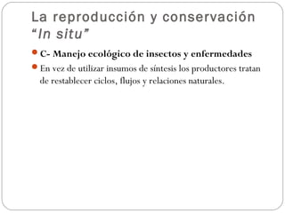 La reproducción y conservación
“In situ”
C- Manejo ecológico de insectos y enfermedades
En vez de utilizar insumos de síntesis los productores tratan
  de restablecer ciclos, flujos y relaciones naturales.
 