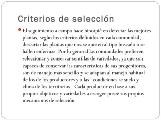 Criterios de selección
El seguimiento a campo hace hincapié en detectar las mejores
  plantas, según los criterios definidos en cada comunidad,
  descartar las plantas que nos se ajusten al tipo buscado o se
  hallen enfermas. Por lo general las comunidades prefieren
  seleccionar y conservar semillas de variedades, ya que son
  capaces de conservar las características de sus progenitores,
  son de manejo más sencillo y se adaptan al manejo habitual
  de los de los productores y a las condiciones se suelo y
  clima de los territorios. Cada productor en base a sus
  propios objetivos y variedades a escoger posee sus propios
  mecanismos de selección
 