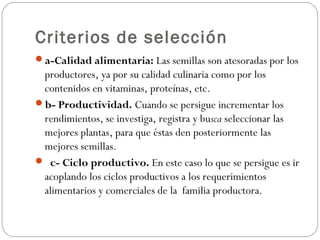 Criterios de selección
a-Calidad alimentaria: Las semillas son atesoradas por los
 productores, ya por su calidad culinaria como por los
 contenidos en vitaminas, proteínas, etc.
b- Productividad. Cuando se persigue incrementar los
 rendimientos, se investiga, registra y busca seleccionar las
 mejores plantas, para que éstas den posteriormente las
 mejores semillas.
 c- Ciclo productivo. En este caso lo que se persigue es ir
 acoplando los ciclos productivos a los requerimientos
 alimentarios y comerciales de la familia productora.
 