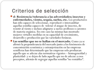 Criterios de selección
 d- Resistencia/tolerancia a las adversidades; insectos y
  enfermedades, viento, sequía, suelos, etc. Los productores
  han sido capaces de seleccionar, reproducir e intercambiar
  aquellas semillas capaces de tolerar el ataque de insectos, de
  resistir al viento e incluso adaptarse a suelos arcillosos o carentes
  de materia orgánica. En este caso las mismas han mostrado
  mejores virtudes medidas en su capacidad de crecimiento,
  desarrollo y producción que las variedades foráneas.
 Las semillas que no se hallan en el mercado. Como ya se
  afirmó la preponderancia del mercado junto a los fenómenos de
  concentración económica y extranjerización en las empresas
  semilleras han determinado que las empresas solo produzcan
  aquello que se adecue alas normativas vigentes – homogeneidad y
  plasticidad- y se dejen de lado aquello que no de adecue a esos
  preceptos, además de segregar aquellas semillas “no rentables”.
 