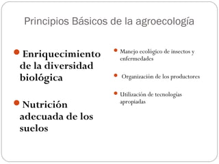 Principios Básicos de la agroecología

                      Manejo ecológico de insectos y
Enriquecimiento
                       enfermedades
 de la diversidad
 biológica            Organización de los productores


                      Utilización de tecnologías
Nutrición             apropiadas

 adecuada de los
 suelos
 