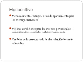 Monocultivo
Menos alimento /refugio/sitios de apareamiento para
  los enemigos naturales

Mejores condiciones para los insectos perjudiciales –
  recursos alimenticios concentrados, condiciones físicas de hábitat-


Cambios en la estructura de la planta haciéndola más
  vulnerable
 