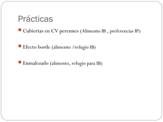 Prácticas
Cubiertas en CV perennes (Alimento IB , preferencias IP)


Efecto borde (alimento /refugio IB)


Enmalezado (alimento, refugio para IB)
 