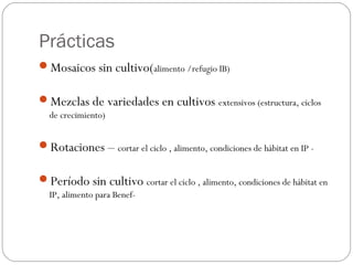 Prácticas
Mosaicos sin cultivo(alimento /refugio IB)

Mezclas de variedades en cultivos extensivos (estructura, ciclos
  de crecimiento)


Rotaciones – cortar el ciclo , alimento, condiciones de hábitat en IP -

Período sin cultivo cortar el ciclo , alimento, condiciones de hábitat en
  IP, alimento para Benef-
 