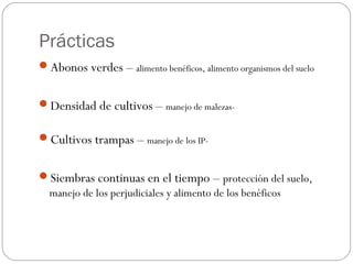 Prácticas
Abonos verdes – alimento benéficos, alimento organismos del suelo


Densidad de cultivos – manejo de malezas-

Cultivos trampas – manejo de los IP-


Siembras continuas en el tiempo – protección del suelo,
 manejo de los perjudiciales y alimento de los benéficos
 