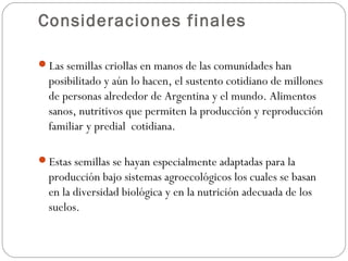 Consideraciones finales

Las semillas criollas en manos de las comunidades han
  posibilitado y aún lo hacen, el sustento cotidiano de millones
  de personas alrededor de Argentina y el mundo. Alimentos
  sanos, nutritivos que permiten la producción y reproducción
  familiar y predial cotidiana.

Estas semillas se hayan especialmente adaptadas para la
  producción bajo sistemas agroecológicos los cuales se basan
  en la diversidad biológica y en la nutrición adecuada de los
  suelos.
 