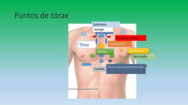 puntos de rastreo biomagnetismo | PPTX