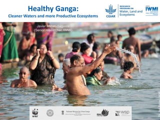 Healthy Ganga:
Cleaner Waters and more Productive Ecosystems
Javier Mateo-Sagasta
(Senior researcher, IWMI)
 