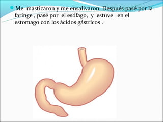 Me masticaron y me ensalivaron. Después pasé por la
 faringe , pasé por el esófago, y estuve en el
 estomago con los ácid...