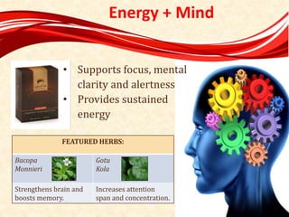 Energy + Mind
FEATURED HERBS:
Bacopa
Monnieri
Gotu
Kola
Strengthens brain and
boosts memory.
Increases attention
span and concentration.
• Supports focus, mental
clarity and alertness
• Provides sustained
energy
 