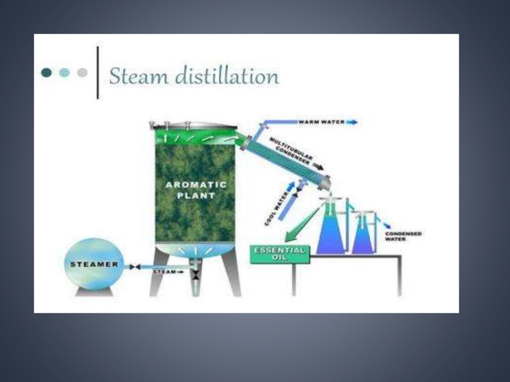 extraction of essential oil from aromatic plants