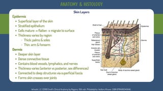 Comprehensive Anatomy and Pathology of Human Skin Layers and Conditions ...