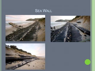 SEA WALL
 