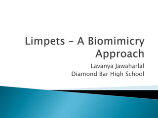 Limpets – A Biomimicry Approach Lavanya Jawaharlal Diamond Bar High School 