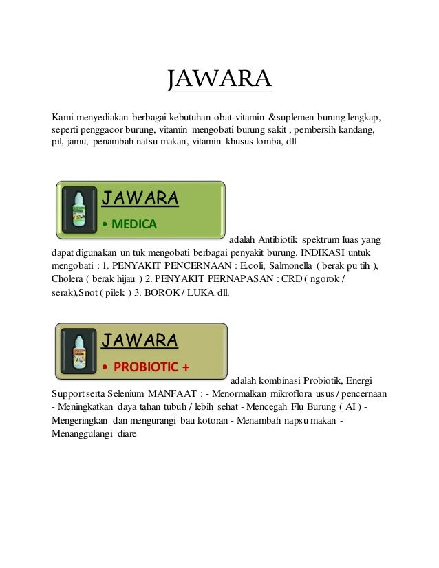 Wa 081 578 578 249 Obat Tetes Mata Untuk Burung Murai Harga Obat Bur