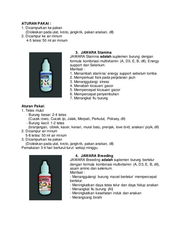 WA 081-578-578-249 vitamin burung hantu celepuk, harga 