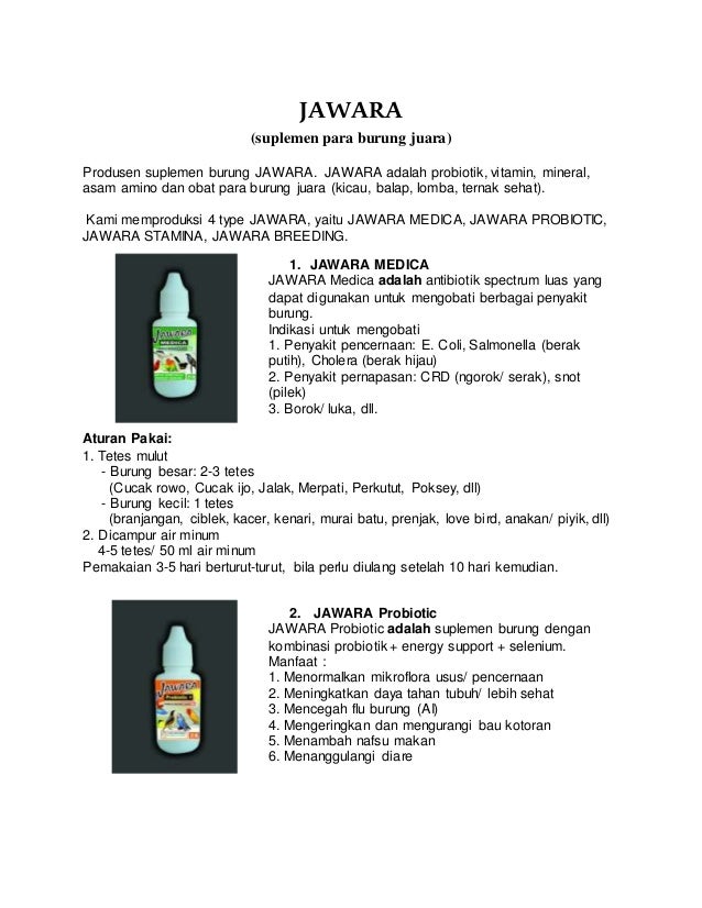 Wa 081 578 578 249 Suplemen Untuk Burung Parkit Harga Obat Burung J