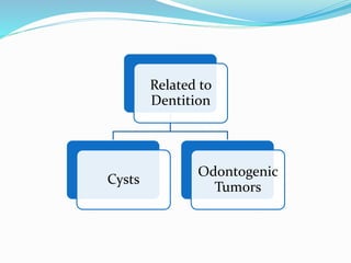 Related to
Dentition
Cysts
Odontogenic
Tumors
 