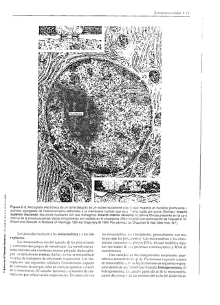 rt:-¿jo
                                                                 3e59*                   € .: teE** +z .
                                                                                         3
                                                                                           ; ¡ -'d s::5                                 9
                                                                  H: q cu                _.¡*-o4re:¡,u/l
                                                                                                                        v    J o
                                                                  o'"8 9Ti                ú
                                                                                          .
                                                                                                  ;i Fc
                                                                                                          a
                                                                                                               a!
                                                                                                                             o L 5
                                                                                                                                   l
                                                                  oAó"'o                  _       Á=           ú
                                                                                                               É o
                                                                                                                        ú
                                                                                                                             u o? c
                                                                 ;É;o c
                                                                 r    Éñ
                                                                 oc c¡-
                                                                     d)
                                                                                         2
                                                                                                  ;
                                                                                                  Aü:
                                                                                                       HE
                                                                                         .! ,-trJr,a=8.4.) c
                                                                                         !       ó: ! - E 9 5
                                                                                                               u C
                                                                                                                        o
                                                                                                                        o
                                                                                                                             =
                                                                                                                                b O

                                                                                                                                        c
                                                                  co¿9P
                                                                                -
                                                                                          E !.2i,?4.a..ú q;q
                                                                                          g oi lig.!.=
                                                                  = o 9.tsii              Y.¿2düúéLtt^;
                                                                                          :
                                                                 pñ9;*                   'E 'EEoi-9r-4¡;
                                                                                                 HfE-,i,,,éEE
                                                                 :0 gii
                                                                    É Eb                  : ¿ n  ;4YsEg"u¿! c
                                                                                                          I

                                                                                          : qEE:!;;;g
                                                                                          -                 - ^         =          --
                                                                 g$
                                                                 _E*R+5
                                                                 oi
                                                                                          ü       |   ú
                                                                                          >-' UP.E a ; ¿,2
                                                                                                            J d    o   o    A.=        c

                                                                  o -- o6oFñ
                                                                                                          U,  -
                                                                 ;t!
                                                                       o
                                                                         os              =        -A EsroQctsr
                                                                                                 .: Dr) Y a E Y .L                      >
                                                                                         -
                                                                 éeSE=:
                                                                 üñ ü e g
                                                                 > 3:6,G
                                                                                         € 9:i-5Ex:9i
                                                                                         .¡ 5;E i árE;E
                                                                 ct a.N:¡
                                                                 Nodoñ
                                                                 S9 S ! F
                                                                                         ic E r E*t¿rEt
                                                                                        JgJ=uJ,ÉJ,q:í,
                                                                 rtsl:ñ
                                                                 oñ:So ó                  o
                                                                                          g    9trüv;u:i':
                                                                ir b,üEd                       "ia.a:tú?
                                                                                              É-,:LLtÉÉtY

                                                       or@ rx' É qx'/u{¡r!   ltt N[t,.^rti | tutWL    lw4n         rl,t¿oup,       a




o


ü
    l¡#E;¡t;g.E
    ;;Í: i5¡,9 ¡ía
                            E€i;Éáei=ÉEÉ€rEE
                            g FE€; r ai;5; ÉÉ;€E
                                                   ;É ;;
                                                   É,E        ÉÉEÉ:;!rsEÉéÉEEüE
                                                                     É    E=
                                                                                Ei€ág¡iEEgiáf
    áÉ!iE€giEtEiÉ!gÉÉEiErÉÉEEri¡i'sÉÉE;laiüÉFe;É;Ei;
    :!I¡iifEi;i óE Eii:Iili Eiif
    EZií!El€Íf :      iF                   ¡iii
                                       gz|-:É
                                              iiÉiiiEáfiiÉiIEI.i}
                   v,,yzziz¡¿E--;ézE: iFE x #:;+éE¡j:'É;i.¡¿ii'¿=
    E1EEE:á   !ii;¡ 4s
    +zezq€;É;F:¡    ly     E
                            EÉ;sÉ               r ¡:É€!ÉEE;Éu!i;+iEi
                               si¡E{=I;É¿.áI1EE1=E;¡
                                                               El€rEEái $áiÉÉÉáÉ Éái
    ;ÉEÉisE;:g;e      Hi 8 E:á¡F:!EiíE;EEiÉ;!;! E
                      Ei g IE;EÉ--i'ZZá¿<E9é;4¿'JE I érjEú¡=iE;l.EÉñEf lúl'
                          e               ¿?t:="5{Z   i!E=-ófZfi3!EiÉfÉ-
    ié" *F!E;.?¿i¿
    É!si3s;bE';;
    =zie€É=oEAÉ'{,:   til z,,aEErárÉ€E5-1:r-;¡e Ec ft ;gta
                      uio E:lÉl;.-a;É==á1           =      :EgE;!ü;'$É€BE
                                                                                                              + N S 5+
                                                                                                              e Y: O O-
                                                                                                              o )x 6 d-o
                                                                                                              Q '' -irúó
                                                                                                              :5        d 0g)9

    iÉÉEi,VF^Ei u 71ZZEE1E?E            zE;Zi iir                                                             Es4ÉH;
                                                                                                              qt1 rp gó
                                                                                                              r X ¡r:FX
                                                                                                              SHRP;i
    g:gááE$;€fi¡áFÉri;É!ÉiÉÉiÉÉ¡¡                                                                             o o:€¿
                                                                                                              3p üEqd
                                                                                                              E Ee Pbl
                                                                                                                      3


    q:ÉÉÉáE3r ;ÉiÍEÉEr¡€i
    €i'=V€;89c !gg€i;É;;;;
                            s=*i¡; ;F!                                                                        *YoQoñ
                                                                                                               i =9 o ó F
                                                                                                               =@-.sd>b
                                                                                                              ¿P_¡ddñ
                                                                                                               c o o.;F
                                                                                                              .o ^Lopv/ 
                            EÉg"if;¡ tiÉ€                                                                     Püab     gñ

    ;;ÉáEiais. g É:ÉÉstiiir i i:;Ei e r,ü
                                                                                                              ;9 C! ! J

                                                                                                              as
                                                                                                              o ..'éiüEE
                                                                                                                        EÉ;.I
                                                                                                              i    s E.5 5
                                    g
                                                                                                                                    R


    lf!¡iEEÉE¡ É :aággtfáiá                                                                                   *                fti
                                        iiáEí ¡ I;g                                                                É
                                                                                                              EHEEEE'
                                                                                                              iT óE 3 d
                                                                                                                    O
                                                                                                                        aE
 