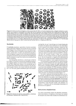 !!6?ei Í                          F   É   ;   3     P ,E   ñ   €9   * lií i      6                                                                     o
                                                      üg:   q.q o óLE
                                                                                        ás€Eg?F€ cisÉíEl                                                                                                  :
                                                                                                                                                    t*"*fi
                                                      ? " ó:=o    o o
                                                      ü¡qÉ * ü€;
                                                      T;EÉ 8:! E
                                                                                        €:i Fr pt F 3F*É::;
                                                                                        !¡ges¡Éi :€gggE3                                                                                      ;¡          o
                                                                                                                                                                                                          o
                                                                                                                                                                                                             X




                                                                                                                                                    li'i$¡-
                                                                                                                                                                                                          O-
                                                      >^:-!trYo                                                                                                                                           NN
                                                      o o OO ó;
                                                      o-oE
                                                      69oq=:cc-o
                                                      o @ ! : :
                                                                      oo
                                                                 ! ñ o L
                                                                     -4
                                                                                        :átÉ1;g; Ei.g¡rcs
                                                                                        * É 3: &n E E s: i: f e€
                                                                                                                                                                                                             3ct
                                                                                                                                                                                                             oo
                                                           ^
                                                                                                                                                                                                             :ñ

                                                                                                                                                    i¡'iti
                                                      !e'19É*á3
                                                      v o I ó o.-=F
                                                      d c o d ñoc^
                                                      Edo  Et€o!
                                                                                        i:¿g,XE*; tsgEEIÉ                                                                                                    ño
                                                                                                          +ei {;:Éi;E
                                                                                                                                                                                                         c0É
                                                      o6-.998.-^                        E+12e                                                                                                                oñ
                                                      creisS!F
                                                      -: OF Ñ O OU
                                                      ,YítrÑ6OOOJ
                                                                                        !5;;E;Eü';ttÉüEE:                                                                                                 o?-
                                                                                                                                                                                                          añ
                                                                                                                                                                                                         .:..
                                                                                                                                                                                                         oú
                                                      ; eEEt HÉg                                                                                                                                         zo
                                                                                                                                                                                                         ri=
                                                                                                                                                                                                          ro
                                                      E;E$s€Et                      É f;*ÉEgÉEEiÉá;ÉiÉ                                                    rTt'tt
                                                      flHE E*5 nS
                                                                                    e               i
                                                                                    á ¡áEfiEEqEE e€É:fs
                                                                                        =oO
                                                                                                        N ? O rJ      -   c!   ú j    ^          tl                                             T
                                                                                                                                                                                                t
                                                                                                                                                                                                         E€
                                                                                                                                                                                                         aÍ
                                                                                                                                                                                                         .9.
                                                                                                                                                                                                         Lp
                                                                                                                                     (rtop of üu utpu4qrnr ¡rp   )qtblto) ü¿.ru Irnúru   rZ   tttortpl q




     Sgsaalü9Fr¿r3                                                         :=
     IEH;iE=LtEñ+,t3É
     :      ¡  @ n d   ú   E   ú É   ;           ,=
                                                                           E:
                                                                           ñ    Y
                                                                                                                                                                                                    oo
                                                                                                                                                                                                    6!
                                                                                                                                                                                                    Od
         O;O:YXF=6Ov
     F^6T.,É;É:: E ! E E r
                                         =   =
                                                                           3:                                                                                                                       +B
                                                                                                                                                                                                    ac
     É"9S==,1'-.ó E g E?                                                   S    k                                                                                                                   co
     E É q: +3:g Ét F B€ F
     "H*!9eüX>ió-*:                                                        :o
                                                                           :    -                                                                                                                   s9
     Ealq€¡!Éüiis¡ *;                                                                                                                                                                               O-
                                                                                                                                                                                                    og
                                                                                                                                                                                                        Oo
                                                                                                                                                                                                        oo
     ÉFituÉgE€€Éü€ H sr
                                                                                                                                                                                                        cC


E iEF: É;E ígE É sá
                                                                                                                                                                                                    oo
     g=                                                                    zE
                                                                                                                                                                                                    9o
                                                                                                                                                                                                    !d
E r:t€,*E,7gt:¡ü€ u,d                                                      E:                                                                                                                       c-


i
                                                                                                                                                                                                    J!
                                                                                                                                                                                                    oo

  alEÉz¡iiÉEÉlE gÉ
                                                                                                                                                                                                    ;0
e
9 EÉi rrE: EÉ
  :€=-i7E:+:'i€lór
                                     -Ei*,                   qt *ig
                                                             5j
                                                                           e;,e
                                                                           3-+,
                                                                                                                                                                                                    3É
                                                                                                                                                                                                    E^
                                                                                                                                                                                                    ^6
                                                                                                                                                                                                    oi

s ÉÉiÉÉÉs€EÉfÉEé fiü !iá                                                                                                                                                                            co

                                                                                                                                                                                                    eÉ
                                                                                                                                                                                                    d'c



     gi frr:i€i;:t
2 É;,E'E:E'ÉÉ ¡IrrEqq5i
É+;ÉÉf iÉ
Er;EÉi[;E;                                            FEFÉá; Esr
                                                                                                                                                                                                    8€
                                                                                                                                                                                                    l!
                                                                                                                                                                                                    $E
                                                                                                                                                                                                    ol
                                                                                                                                                                                                    ¡c
: EgJJ          É1,;   F';:                           E:á:: g€E É ? B                                                                                                                               od,
                                                                                                                                                                                                    s5
1Í É F g;E
4¿:'í7FlE;E EE ¡'r'!.:,        É                      ::EÉT; F;: g
                                                           :,,.,, ¿i.,,,,¡'                                                                                                                         l¡1r-
                                                                                                                                                                                                         d




7 .'. !.:6.i áEF
ilü á; ú E 5 oñ v d                                   e.'iet taiÁ¿                                                                                                                                  3 óñ
                                                                                                                                                                                                    - Éx
                                                          É;4                   a!
EZÉCÉ iiÉEi€ i                                        5        E"E FE
                                                          e EE E s e r-é€                                                                                                                           -
                                                                                                                                                                                                    9ü3
                                                                                                                                                                                                         -,N


iiíE:* É!ic' -É g;¡E!iF.EEi
                 ií* !i i!#                           E              H
                                                                                                                                                                                                    O Or
                                                                                                                                                                                                    oE*
                                                                                                                                                                                                    o 3'm
Ei;;i:ÍF€EE P q!uÉ5U8gBH
iÉiEF,!&EF¿E
             .E                                                                                                                                                                                     6.-.!U
                                                                                                                                                                                                    Püir
-íl.i;
_¿2c=-34-_Éü
       EE:.€:;¡ n, AÁFá!;É!l:                =
                                                      :Od:E!hd-.O                                                                                                                                   L n'G
                                                                                                                                                                                                    ?F6
 ;i":t¡€ E E"-E H riE E!
;E +3€ú83-S d ñHsf i ;€i¡
                              c
                                                                lg>E&S
                                                                                                                                                                                                    S;6
                                                                                                                                                                                                    o: d
                                                                                                                                                                                                 ir      t>
 