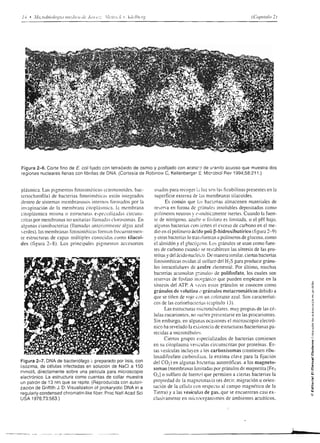 s!                  29
                                                                                :is                            c I
                                                                                                           ú ' ¡iE- d, E
                                                                                                           o                                o;
                                                            r=
                                                            9ñ                 ;I                      +$,^€ñI ¡.!
                                                                                                          =
                                                                                                       .9.Ytj=*-                            f
                                                            ñQ                  2y
                                                                               :lj                                       oE Q               q- ü
                                                                                                           "S:
                                                            <<3                 =oñ-.=ñdEb=
                                                                                                                                            o-
                                                                                                       _          v,



                                                                                á¿2
                                                                                                                       _._,=




                                                                                ,¿i.                       "rRy:b-
                                                                                                             ^


                                                             dE
                                                            '-o                                                                             FE
                                                            9E
                                                                               rrSri
                                                                                 ¿t¿t
                                                                                                       =EEls€
                                                                                                       üF$,sis iA
                                                                                                       I j q p,.ü-
                                                            3É.                 c!,P'                      ;ó.FgÍ€
                                                            ar                 .9*:                                                      Ea
                                                                                                           3lb-e&¡                       ¿..
                                                            .q ¡i
                                                            oZi
                                                            oP                  i12
                                                                               É-Y                         Aií*in
                                                                                                           ñ'E-:ot],                     EE
                                                            g'3^
                                                            u  Oci
                                                                               :!i
                                                                               E*3
                                                                              .:-d               t ?= c.-Ú)
                                                                                                           ;u:€aü
                                                                                                       -:e tEEs                          Éa
                                                                                                                                         eút
                                                                                                                                            ZF
                                                                                                                                            ó^
                                                                               Étó               S *:g€úE
                                                            o --:                                                                           =-
                                                            ?:ñ
                                                                               ;E;
                                                                                ^-o
                                                                               {:rF
                                                                                                 É
                                                                                                 6
                                                                                                 L
                                                                                                       F,É=:e,**:;
                                                                                                       útrúi',q"'-qd
                                                                                                       oOoü'::6:E
                                                            ñ 9;              VóP                :     !!e=j-;oua

                                                                                                 ; ;g€iitÉ'i
                                                            E 3-6
                                                            üJE
                                                            Ldm               ¿ÉE
                                                             ol{op un sd u9rtrelrrtfü   ¡lsrv[úpj ou¿.pq! l.nuru              ta ptrorrp? ú




c    o
     !
     ñ
     .:
ü    OJ
     bN
     oó
     50
     6ii
     óo
     l>
     H#          áuÉí;ÉiÉ,iicgÉ¡ÉgiE€ ÉáÉE iFEFigi                                                                                íÉE€
     o_

                                 gÉ
     ll   rii
                i el:                    Éác:É¡g€iilá iz=tz; áif :;5É: igE
     ü91
     ñO
     -o
     BE
     ob
     ñ-
    !Y          gg                                                      gE;;FÉ                                                 gái
                         sÉ                                                                      Éár
    ot
    oo
    -.:
    .a6
                                 ágs            ff sÉ áÉ i ííÍ á                             ;             É5E                         Éí
    EE
    9o
    9.q         :
                 HÉ: E ¿fi= E E i
                  E R: ¿ 418
                              ¿
                                3
                                                                                                                 co
                                                                                                              3P*tE=ó
                                                                                                                         o c,l       d n
    od)
                P, "¿'¡ f, E e,,Y=                                                                           .e.   É 3 il<€
                '= ! tr ú ,,2 Y a fr.                                                                        fót'F 3 5 o o=
                                                                                                                 a 6 sÉt
                 : = ñ--- =     iFñ ú
                 t.E        , ! í ó ",
                E'áP¡:iFE;:
                     =:i2                                                                                     ;e ñ 3ü 9.2
    Eo          ¿t3l;:E2=Z                                                                                   E        i se5!"u
    o!           ¿!F,z iÉ E"E E s,
                .99;AüAE'zó*
                                                                                                                 X ñ ñ,^ P Y-:
                                                                                                              ó--- d ao:
    .-=                                                                                                      aE:E8b=ó
                                                                                                             .< Yr-c^.
    ^o         .=   o   !   u       !   q..r     o    ñ                                                     o h *o "; o-V
    oc                           =                                                                           ó-d^===
    rri B
                E'EE::HEgI                                                                                   -q
                                                                                                             :9b
                                                                                                                  3gÉ  OE=;
                                                                                                                                  *ñ    É

    D6          r I€É ú:-"? E á                                                                               !dqo".::
                                                                                                             ! OO d o @:
                                                                                                             E-P 3 5              E;É
    Eo
                E:5:;           +:
                           / ü o!
                                     EEE                                                                     E;P:F:;^
                                                                                                             s= P E!i Es
                _:"o:               _ ^
                 o!   tr o   ¡ i tr Y €
    óo
     .9          q-eü;iEEEs^
                )8,.:.¿.Y
                           =
                          b c q !
                                                                                                             á    3*siEEE
                 jP!r9E+ól:¿J
                                                      9r
                                                                                                             ñ9 9:ü(' 6¡:--
    gP           ooe:ú9ú,:2aD
                'F7    o.:!   *ñ                6 ÉE                                                         .{;" F.seiF
    J.9
    oo
                 cYLOrÁáCdlp-                                                                                E E<              9i s tr:
    irI         áE€:: ¡4E;s                                                                                  F!E$iruÉq
 