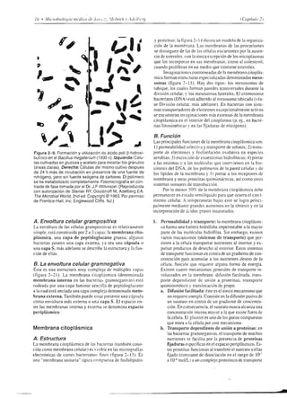 ÉEq?sñ€.i!.H
                                                                                             6r.!¡'9:-h*¡
                                                                                ofl           u F c¡._ _! ü1.ó o.F €
                                                                                             ÉTEE.3E=FSE
                                                                                             'E6uhÉFciu6
                                                                               6Q             ii.: q=-- ü ü'üaJ *
                                                                                ;ú            E á"   g'¡ g i E f É
                                                                                E5-           a¿=2'óo-,!,;E
                                                                               e&3
                                                                                              ÉEÉEig:E€A
                                                                                gPv
                                                                                             E*Er5Í:',iuiz¿
                                                                               e!
                                                                               :.:Í    B     :   g;  I E;*+É;,
                                                                               o-q6           E H',f É,3!;qá;i
                                                                               NYui
                                                                                              g:3Egs,E9E!$
                                                                                G-.O
                                                                                r!-9
                                                                               .9o
                                                                               LC>     3

                                                               o¡lapuñ   s !9osrynu ltg]úp¡rüto) oo¿.pw tüuew tt teportpZ ú




U




     íáÉáiEfEiitEEÉiÉ' ÉiÉáÉíiE Éisí, ÉÉgFiÉÉEgiEÉ,E€i€É',áÉgÉiÉg
     :€; r€áiEác;ftÉ ¡fÉ ¡sÉÉ'áa'fuiÉgi É 5gt's;Eii :; iElágÉ;€áEÉÉÉÉfÉ
     :qEg¡EEfFáfis
     ",:*;:snÉ:E:*;iEE: EíE{eg¡¡É-rr[?? Ei!ÉE:gÉ;iFt;€t,
              -
     €€i: iÉ IE:.i;'íÉÉ
     :: i; :FyEc:EE,                    E€¿gÉÉáÉ5'E'íÉ
                                                         i¡É EEsÉEigÉuE
      I;ÉÉAE"€ gá€É            FgÉgi¡ig;;¡ÉÉgÉ
=
{
     !-
                       -$'l        1
                                       ÉráÉEg;€gi ctÉáE-t'PFE
                                                         vEt"ÉÉ;                             i                    EÉ;É
     ,¡(:                74            s$EÉiEÉÉ:ü=
                                                     *E   ü   r5                           gfÉ                   ÉÉsE
rl
:
                         It
                                       gFgÉgÉEÉEgF$9ÉÉíÍ$FEi,ÉÉÉíÉEÉi9g
                      fur (.-l
.Y


     .           T

                      IJ
a    

                  1t
                               
€           ¡O,               tó       gE#É5ÉEÉEsÉt;E¿ÉÉgijiÉgiEÉ€UE¡i€i!
 