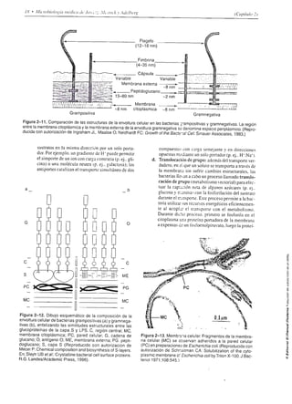 P,¡6 c
                                                           ñ6q!Q

                                                           Fr::<
                                                           -E$s                     iáitÉ¡r igiÉÉ¡ :EÉii*Éi¡É
                                                                                    ir ¿¿: r it r I     E                                                     És:EggÉ€ÉiiÉ
                                                              oR
                                                           .9.0
                                                           - R.o                                            gÉÉÉ.eü.t
                                                   +
                                                   I       3   @   06               'i
                                                                                    É
                                                                                         gEiÉ
                                                                                         iI        y   i! ¡                iiEÉ.E¡€;É;É É E Eg€i Eii
                                                                                                         ÉE ,: H E; _ É Eü.'=.2 e 8..:?t
                                                                                                                                         8.E E ¡ ii;E g g;
                                                                                                                                                                                                   i;
                                                                                                                                                                                                   ÉE
                                                           ;g;á
                                                           E=_-É3
                                                           oJ2 ú;
                                                                                    * ÉÉ+E¡ ii;E€ÉgÉ ¡á;E:¡gI,Iff EiÉ
                                                           5 qE;*
                                                           ú60Ñ
                                                           F o O?iD
                                                                                    E:EE€i;E!; E É iEtI E AiE! íEÉi IEáF g E ilgi¡g
                                                                                    ! p rÉ!€: É- E¡ Essi¡¡É
                                                                                                                                                         fr                        '',I#i'
                                                           "!*5;                                                giÉ;¡           E   igE                         HtEgFg€áE iE
                                                           .PEE
                                                           Ur
                                                                     Ü
                                                                   6l)
                                                                                                                               o¡Ep un se uPprzuolre uF )etdo&to{       útepou lcnuqn E ttqo,pf       @




                                                       ct
                                                       og
                                                       óo                    EEiz!€É aE * É el EÉ
                                                                             gÍE:iFEeg!E¡:ii                                                                                          f!5ó,q9
                                                                                                                                                                                     ¡fo:* ou
 a_                                                    q Yci                                                                                                                         tr6 6
                                                       J o@                  q¿x.bfs!dú,",otr9=::d
(f                                                                                                                                                                                    Éo QEe
                                                        É F'-
                                                                         : sf ¡ EÉ;Í: ÉEEÉE                                                                                           o9ó=Y
                                                       .>¡,6 0
                                                       =.6
                                                        oq6              :;.i i;¡ ¡;,; E"l;;s=                            E"
                                                                                                                                                                                      --d)OC
                                                                                                                                                                                     É;SE€
                                                       E EH
                                                       q.3 €                                                                                                                          PÉ 8EA
                                               6
                                               o
                                               c
                                                       e3E                   FÉ€ sÉ sÉáE
                                                                             - e Y;                              iri iÉÉ                                                              E6*8E
                                               E
                                               6
                                               o É.94
                                                       I
                                                                                    L 3¡!*
                                                                                       -
                                                                         g;íZEEEEETi14Ei"
                                                                                                                 ¿:   Á   C

                                                                                                                                                                                     ir¡st
                                                       F8;¡
                                                           5-q;
                                                                         : É{ r; !   *l; Éít           á.s g                                                                         É:,il¡F
                        r 4.                           i':x    *         Zi,E7 ÉEi,iZE"Átlii                                                                                         [ 6!¡!l-
                        ñ tF       e I.
                                   c tE
                                                       E 9-ü
                                                                         E;;5tÉr:;¡;?;¡É                                                                                             Fo:o",6
                                                                                                                                                                                     c o.:.^
                                                                                                                                                                                     o _ o-'=6 =
                                                                                                                                                                                                      v
                         EI;
                        E I,       t    l?
                                                       ñ qo
                                                       qEo               5IFÉ:E'EEgEg;¡€$
                                                                                                                                                                                     >b-S-9 Xci
                                                                                                                                                                                      .s d v:o
                                                                                                                                                                                     o9Oc     tr-
                                                                                                                                                                                     'i - E:a 9;j
           F              d
                          c
                               o
                               c
                               ñ          6
                                       o .9            q oi                         -t
                                                                                                                                                                                     ñ{ 3H:h
      -eE
      $o       :
                    o
                          o
                          o
                               :o
                                       c
                                       s
                                       o
                                           E
                                                       0cO
                                                       !.:o
                                                                                                                                                                                     6=    i

                                                                                                                                                                                     ,ó:p€ÉEI
                                                                                                                                                                                               N.=*


                                       E 19
                                       o o
               E
      LÑ       iI   s     G
                          c
                          d
                               E
                                q        o             =r6/i
                                                       3   ¿r
                                                                                                                                                                                     E C=d ñ



                    l.    o
                          E
                                o
                               I E
                                   c
                                   o
                                                       e
                                                       9Eb
                                                           Ht            q ¡=
                                                                         E.= ú--ó
                                                                         ? F :X
                                                                                         ó ó
                                                                                                         ¡                          Ou                (,O                   * sÉQ3á3 ( E
                                           E                             *ñ                                                      tl>
                    ld             @       c           o Sz                  -ñr                             I
                                                                                                                                                 lt      l >            |
                                                                                                                                                                            ü Q o< o Q c Y.d
                                   ¿
                    l¡         I
                                           @
                                           ¡       !Co
                                                   9Aio
                                                                         9€eE                  3
                                                                                                                                                                            ;gi;É*$sn
                                                   "do
                                                   ffi ñE
                                                                         )     ld        LLa
                                                                                                                                                                            A:E:trP€H{
                                                       óÉ
                                                                         E.T 5           ó;
                                                       ¿ ¡i=l            Ei,        i    eE                                                                                 Eg;q*fiñFü
                                                       ocE                3bf5ñ
                                                                         ':e E d F                                                                                                 q;;:
                                                                          E ar? -;
                                                                                                                                                                            É Fs
                                                                                                                                                                            ñ ó= >oÉ
                                                                                                                                                                                               €
                                                                                                                                                                                           ó co-
                                                                                                                                                                                                   *a
                                                                          E c !=:
                                                   :b33                  E d !P.!                                                                                           EÉ                        a
                                                   x.o
                                                       s ó.x
                                                                         - t!            - d
                                                                                                                                                                               =*eü,4#É
                                                                                                                                                                            Fte üs6lFür
                                                   Éq ñ                                                                                                                     g-o3-eHpq8óF
                                                   3FE                   E o Oo            !                                                                                s; ñqÉ.9sEEE
                                                   -to
                                                   .dEg
                                                                                                                                                                            ¡FEÉEE'lE;{
                                                                                                                                                                            'r ooqiAOo(JJ.i{
                                                   pS o                                                                                                                     oExEh.'E:     €E
                                                     grP                                                                                                                     F rgáX E üt dq
                                                   o: 9
                                                   =                                                                                             l(J I ()           |             eE q:9¿6-:
                                                   r ob                                                                                    aa_                               =8.
                                                                                                                                                                            ,sE E: F 5 85 ecl
                                                                                                                                                                            r o= otr ob2UI
 