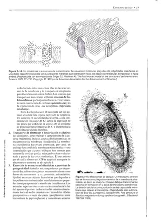 P,¡6 c
                                                           ñ6q!Q

                                                           Fr::<
                                                           -E$s                     iáitÉ¡r igiÉÉ¡ :EÉii*Éi¡É
                                                                                    ir ¿¿: r it r I     E                                                     És:EggÉ€ÉiiÉ
                                                              oR
                                                           .9.0
                                                           - R.o                                            gÉÉÉ.eü.t
                                                   +
                                                   I       3   @   06               'i
                                                                                    É
                                                                                         gEiÉ
                                                                                         iI        y   i! ¡                iiEÉ.E¡€;É;É É E Eg€i Eii
                                                                                                         ÉE ,: H E; _ É Eü.'=.2 e 8..:?t
                                                                                                                                         8.E E ¡ ii;E g g;
                                                                                                                                                                                                   i;
                                                                                                                                                                                                   ÉE
                                                           ;g;á
                                                           E=_-É3
                                                           oJ2 ú;
                                                                                    * ÉÉ+E¡ ii;E€ÉgÉ ¡á;E:¡gI,Iff EiÉ
                                                           5 qE;*
                                                           ú60Ñ
                                                           F o O?iD
                                                                                    E:EE€i;E!; E É iEtI E AiE! íEÉi IEáF g E ilgi¡g
                                                                                    ! p rÉ!€: É- E¡ Essi¡¡É
                                                                                                                                                         fr                        '',I#i'
                                                           "!*5;                                                giÉ;¡           E   igE                         HtEgFg€áE iE
                                                           .PEE
                                                           Ur
                                                                     Ü
                                                                   6l)
                                                                                                                               o¡Ep un se uPprzuolre uF )etdo&to{       útepou lcnuqn E ttqo,pf       @




                                                       ct
                                                       og
                                                       óo                    EEiz!€É aE * É el EÉ
                                                                             gÍE:iFEeg!E¡:ii                                                                                          f!5ó,q9
                                                                                                                                                                                     ¡fo:* ou
 a_                                                    q Yci                                                                                                                         tr6 6
                                                       J o@                  q¿x.bfs!dú,",otr9=::d
(f                                                                                                                                                                                    Éo QEe
                                                        É F'-
                                                                         : sf ¡ EÉ;Í: ÉEEÉE                                                                                           o9ó=Y
                                                       .>¡,6 0
                                                       =.6
                                                        oq6              :;.i i;¡ ¡;,; E"l;;s=                            E"
                                                                                                                                                                                      --d)OC
                                                                                                                                                                                     É;SE€
                                                       E EH
                                                       q.3 €                                                                                                                          PÉ 8EA
                                               6
                                               o
                                               c
                                                       e3E                   FÉ€ sÉ sÉáE
                                                                             - e Y;                              iri iÉÉ                                                              E6*8E
                                               E
                                               6
                                               o É.94
                                                       I
                                                                                    L 3¡!*
                                                                                       -
                                                                         g;íZEEEEETi14Ei"
                                                                                                                 ¿:   Á   C

                                                                                                                                                                                     ir¡st
                                                       F8;¡
                                                           5-q;
                                                                         : É{ r; !   *l; Éít           á.s g                                                                         É:,il¡F
                        r 4.                           i':x    *         Zi,E7 ÉEi,iZE"Átlii                                                                                         [ 6!¡!l-
                        ñ tF       e I.
                                   c tE
                                                       E 9-ü
                                                                         E;;5tÉr:;¡;?;¡É                                                                                             Fo:o",6
                                                                                                                                                                                     c o.:.^
                                                                                                                                                                                     o _ o-'=6 =
                                                                                                                                                                                                      v
                         EI;
                        E I,       t    l?
                                                       ñ qo
                                                       qEo               5IFÉ:E'EEgEg;¡€$
                                                                                                                                                                                     >b-S-9 Xci
                                                                                                                                                                                      .s d v:o
                                                                                                                                                                                     o9Oc     tr-
                                                                                                                                                                                     'i - E:a 9;j
           F              d
                          c
                               o
                               c
                               ñ          6
                                       o .9            q oi                         -t
                                                                                                                                                                                     ñ{ 3H:h
      -eE
      $o       :
                    o
                          o
                          o
                               :o
                                       c
                                       s
                                       o
                                           E
                                                       0cO
                                                       !.:o
                                                                                                                                                                                     6=    i

                                                                                                                                                                                     ,ó:p€ÉEI
                                                                                                                                                                                               N.=*


                                       E 19
                                       o o
               E
      LÑ       iI   s     G
                          c
                          d
                               E
                                q        o             =r6/i
                                                       3   ¿r
                                                                                                                                                                                     E C=d ñ



                    l.    o
                          E
                                o
                               I E
                                   c
                                   o
                                                       e
                                                       9Eb
                                                           Ht            q ¡=
                                                                         E.= ú--ó
                                                                         ? F :X
                                                                                         ó ó
                                                                                                         ¡                          Ou                (,O                   * sÉQ3á3 ( E
                                           E                             *ñ                                                      tl>
                    ld             @       c           o Sz                  -ñr                             I
                                                                                                                                                 lt      l >            |
                                                                                                                                                                            ü Q o< o Q c Y.d
                                   ¿
                    l¡         I
                                           @
                                           ¡       !Co
                                                   9Aio
                                                                         9€eE                  3
                                                                                                                                                                            ;gi;É*$sn
                                                   "do
                                                   ffi ñE
                                                                         )     ld        LLa
                                                                                                                                                                            A:E:trP€H{
                                                       óÉ
                                                                         E.T 5           ó;
                                                       ¿ ¡i=l            Ei,        i    eE                                                                                 Eg;q*fiñFü
                                                       ocE                3bf5ñ
                                                                         ':e E d F                                                                                                 q;;:
                                                                          E ar? -;
                                                                                                                                                                            É Fs
                                                                                                                                                                            ñ ó= >oÉ
                                                                                                                                                                                               €
                                                                                                                                                                                           ó co-
                                                                                                                                                                                                   *a
                                                                          E c !=:
                                                   :b33                  E d !P.!                                                                                           EÉ                        a
                                                   x.o
                                                       s ó.x
                                                                         - t!            - d
                                                                                                                                                                               =*eü,4#É
                                                                                                                                                                            Fte üs6lFür
                                                   Éq ñ                                                                                                                     g-o3-eHpq8óF
                                                   3FE                   E o Oo            !                                                                                s; ñqÉ.9sEEE
                                                   -to
                                                   .dEg
                                                                                                                                                                            ¡FEÉEE'lE;{
                                                                                                                                                                            'r ooqiAOo(JJ.i{
                                                   pS o                                                                                                                     oExEh.'E:     €E
                                                     grP                                                                                                                     F rgáX E üt dq
                                                   o: 9
                                                   =                                                                                             l(J I ()           |             eE q:9¿6-:
                                                   r ob                                                                                    aa_                               =8.
                                                                                                                                                                            ,sE E: F 5 85 ecl
                                                                                                                                                                            r o= otr ob2UI
 