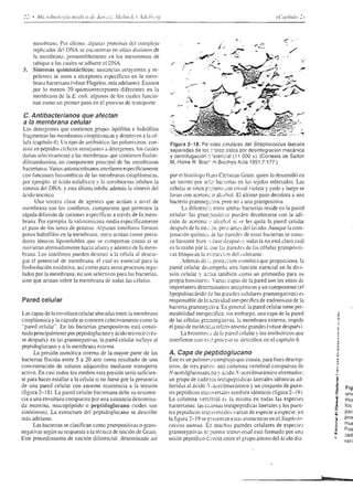 o
                                           ()
                                                                    I
                                                                                                                                                                      Fs=,EEÉ frü                Et
                                           r
                                           z
                                               I

                                                              oo
                                                              tr^
                                                                                                                                                                      e*ESFEESEH
                                                                                                                                                                      ")Sts=Eqñ.Eo
                                                   aE F q +                                                                                                   -r?
                                                                                                                                                                      g:88 F b FFE
                                                                                                                                                                              5
                                                                                                                                                                          .É o ! i            ¿E,g
                                                   diúEfd                                                  f-a
                                                       .óJC                                                t*                                           f'-0- íE*g;g:
                                           x
                                           r
                                           O
                                                              ó:    6
                                                                    o                      z
                                                                                        o:-9
                                                                                        <_6_t_ .g
                                                                                                           I

                                                                                                           I



                                                                                                                           z
                                                                                                                                                        I sgr€e:zl3e€
                                                                                                                                                        .    [F
                                                                                                                                                                      e
                                                                                                                                                                      *üó
                                                                                                                                                                                       HÉ$€gÉ
                                           o                                                                                                          -¿                               ñ úi ó E ó 6
                                           o                                                   ó
                                                                                               o
                                                                                                                           f,
                                                                                                                                                        ,5            e q-43€ü
                                                                                                                                                                       =Y_^_ü;E _efi
                                                                                                                                                                                                           u
                                           r
                                           I


                                           z                                                                                                                         ;güfi É frü8..
                                                                                                                                                                     9t?qs9:di  Hco
                 I
                 o                                                                                                                                                   gt¡ He#fÉ E *
                 I                                                                                                                                                   f;6+ñ:5É+b
                 o-                                                                                                                                                  t E F;9 Ess ÉE
                                                                                                                                                                     eEfiE+;'FE3
                                                                                                                                                                     ifiáSfÉ5qEe
                                                                                                                                                                     r!üE;ü:EBsE
                                                                                                                                                                     ;ÉsgEgq6€E
                                                                                                                                                                     ir5EóHb.Ed39
                                                                                                                                otfl),rl s rryru4¡ue qt Mt,.r,pJ Nr.Nli
                                                                                                                                                                              frutlp    ¡7 ¡opo¿¡p¿        i
                                                                                                                                                                                                      ",




          ,.1,                        -t

U
                 '..''s,                           gegr ggÉaáÉláíiig,$tÉáííEEÉESEi Ég€EÉÉísíiíEE



                                                                                ttl1zíF                                   gg                     gg                      g
                                                                                                   g           g
          '),                                                                                                                             I
                                                   ííii i íi í íl                                      í   á       á   í          ¡  s iíí; Iíííís
                                                                                                                                      i                                                               i
    Et: Éá9tÉe Étr1ÉeH|iE 8:ÉiEiV*F:i,a
                   .p:-:-3*EeBf                                                                                                 Ei+ir ÉÉEF,i,EsÉsE ÉEo
                                                                                                                                                   Éds
    F55 ^EioE?                   "sEEqR-éñhgbá                                                                                  ÁE5aá'iÉáFa¿=_::¿
                                                                                                                                -¿F3"F :€5EYEiE3ú
    ;é"i i,ry-r,+E E7fr"tiES.E=ú ié¿fr€ási€á¡¿á
    =9= E-4r,dt    ÉriÉEEüáÉE :E¡#e sF.¿==V4É                                                                                                                                                1't¡¿
                                                                                                                            EEeZ:      g;É?[:98É#
    ==- -e€Ero EEÉÉEEFí=: rj B€:;:;; it¡
    zév s;*É ¡* nüáp-03'iíXE -=i:3:;á*;;g+É
                                                                                                                                                      ?EZ
                                   q;                                                                                       r e *e: r; Et:;iE;3 :'E                                                   F
                                                                                                                            EEiEE át¡iÉüEEFE é=3
                                              v¿E?qE=:;re i
    IEEÁÉAÉEiF o
    "lÉu=!íj;ó.AL
     eEEueua'E-v               * iál€"+É, E€* aíÉEi;ii=:ii!€
                               E
    :: E !:5 s'!P-É,E $ l+¡ rlilr2É
                                      ei?,a1útF'P                       ú-t'i    H3¿¿e..!59=d                               E€s;Her;E'rg;ÉEi"á at¡
                                                                                                                            HtEEáF': 9- o=Í1 tr.1 S.Y brtic


    ttEE€ gt a o*:=:i*R.qÍ=' eE:ÉÉ a€E=3ü*uú?-'¿Zqe F
                      is E E¡ í:    :*i_aE¡EiEE ¡                                                                           EHEáCÉÉ*ffiHÉáEF EñÉ
                                                                                                                            ü;Ékr'".H*.I¡E9Es¡€s i€€
                 E;íi i
    =:=a:.HÉ.:1*Lr
    í.7, á " '=
                =E
                =
                  d K q I      EHIEÉÉÉgEEEA
                               '¡                                       i;EigiÉEi¡ÉEi ÉáE FiÉ.;E;¡IiÉáÉE f áE
                                                                                    - : ú!:;':'ÉÉE?€fi:¡-
    =4*ÉE
    ?É;; Éis  És; t¡ gÉiáE¡ÉÉiá, gÉEÉi€áEEEE€'                           Eit
    :¡*:E¡d E b E E dEil'e?s+Et1aieteÉiiEE:EgE*F E t i; g;g gÉ'FI HHTÉÉ¡H;1"!
    s
       E3EÉ!=:q .figÉgiÉEÉ€e;*=re;cÉE
    c E i ) o o¡      o ts d
         ¿                     <-i'       EffEsi F ÉÉÉgáá'EEEgáEi:€Ei,iá
 
