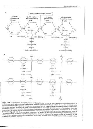 o
                                           ()
                                                                    I
                                                                                                                                                                      Fs=,EEÉ frü                Et
                                           r
                                           z
                                               I

                                                              oo
                                                              tr^
                                                                                                                                                                      e*ESFEESEH
                                                                                                                                                                      ")Sts=Eqñ.Eo
                                                   aE F q +                                                                                                   -r?
                                                                                                                                                                      g:88 F b FFE
                                                                                                                                                                              5
                                                                                                                                                                          .É o ! i            ¿E,g
                                                   diúEfd                                                  f-a
                                                       .óJC                                                t*                                           f'-0- íE*g;g:
                                           x
                                           r
                                           O
                                                              ó:    6
                                                                    o                      z
                                                                                        o:-9
                                                                                        <_6_t_ .g
                                                                                                           I

                                                                                                           I



                                                                                                                           z
                                                                                                                                                        I sgr€e:zl3e€
                                                                                                                                                        .    [F
                                                                                                                                                                      e
                                                                                                                                                                      *üó
                                                                                                                                                                                       HÉ$€gÉ
                                           o                                                                                                          -¿                               ñ úi ó E ó 6
                                           o                                                   ó
                                                                                               o
                                                                                                                           f,
                                                                                                                                                        ,5            e q-43€ü
                                                                                                                                                                       =Y_^_ü;E _efi
                                                                                                                                                                                                           u
                                           r
                                           I


                                           z                                                                                                                         ;güfi É frü8..
                                                                                                                                                                     9t?qs9:di  Hco
                 I
                 o                                                                                                                                                   gt¡ He#fÉ E *
                 I                                                                                                                                                   f;6+ñ:5É+b
                 o-                                                                                                                                                  t E F;9 Ess ÉE
                                                                                                                                                                     eEfiE+;'FE3
                                                                                                                                                                     ifiáSfÉ5qEe
                                                                                                                                                                     r!üE;ü:EBsE
                                                                                                                                                                     ;ÉsgEgq6€E
                                                                                                                                                                     ir5EóHb.Ed39
                                                                                                                                otfl),rl s rryru4¡ue qt Mt,.r,pJ Nr.Nli
                                                                                                                                                                              frutlp    ¡7 ¡opo¿¡p¿        i
                                                                                                                                                                                                      ",




          ,.1,                        -t

U
                 '..''s,                           gegr ggÉaáÉláíiig,$tÉáííEEÉESEi Ég€EÉÉísíiíEE



                                                                                ttl1zíF                                   gg                     gg                      g
                                                                                                   g           g
          '),                                                                                                                             I
                                                   ííii i íi í íl                                      í   á       á   í          ¡  s iíí; Iíííís
                                                                                                                                      i                                                               i
    Et: Éá9tÉe Étr1ÉeH|iE 8:ÉiEiV*F:i,a
                   .p:-:-3*EeBf                                                                                                 Ei+ir ÉÉEF,i,EsÉsE ÉEo
                                                                                                                                                   Éds
    F55 ^EioE?                   "sEEqR-éñhgbá                                                                                  ÁE5aá'iÉáFa¿=_::¿
                                                                                                                                -¿F3"F :€5EYEiE3ú
    ;é"i i,ry-r,+E E7fr"tiES.E=ú ié¿fr€ási€á¡¿á
    =9= E-4r,dt    ÉriÉEEüáÉE :E¡#e sF.¿==V4É                                                                                                                                                1't¡¿
                                                                                                                            EEeZ:      g;É?[:98É#
    ==- -e€Ero EEÉÉEEFí=: rj B€:;:;; it¡
    zév s;*É ¡* nüáp-03'iíXE -=i:3:;á*;;g+É
                                                                                                                                                      ?EZ
                                   q;                                                                                       r e *e: r; Et:;iE;3 :'E                                                   F
                                                                                                                            EEiEE át¡iÉüEEFE é=3
                                              v¿E?qE=:;re i
    IEEÁÉAÉEiF o
    "lÉu=!íj;ó.AL
     eEEueua'E-v               * iál€"+É, E€* aíÉEi;ii=:ii!€
                               E
    :: E !:5 s'!P-É,E $ l+¡ rlilr2É
                                      ei?,a1útF'P                       ú-t'i    H3¿¿e..!59=d                               E€s;Her;E'rg;ÉEi"á at¡
                                                                                                                            HtEEáF': 9- o=Í1 tr.1 S.Y brtic


    ttEE€ gt a o*:=:i*R.qÍ=' eE:ÉÉ a€E=3ü*uú?-'¿Zqe F
                      is E E¡ í:    :*i_aE¡EiEE ¡                                                                           EHEáCÉÉ*ffiHÉáEF EñÉ
                                                                                                                            ü;Ékr'".H*.I¡E9Es¡€s i€€
                 E;íi i
    =:=a:.HÉ.:1*Lr
    í.7, á " '=
                =E
                =
                  d K q I      EHIEÉÉÉgEEEA
                               '¡                                       i;EigiÉEi¡ÉEi ÉáE FiÉ.;E;¡IiÉáÉE f áE
                                                                                    - : ú!:;':'ÉÉE?€fi:¡-
    =4*ÉE
    ?É;; Éis  És; t¡ gÉiáE¡ÉÉiá, gÉEÉi€áEEEE€'                           Eit
    :¡*:E¡d E b E E dEil'e?s+Et1aieteÉiiEE:EgE*F E t i; g;g gÉ'FI HHTÉÉ¡H;1"!
    s
       E3EÉ!=:q .figÉgiÉEÉ€e;*=re;cÉE
    c E i ) o o¡      o ts d
         ¿                     <-i'       EffEsi F ÉÉÉgáá'EEEgáEi:€Ei,iá
 