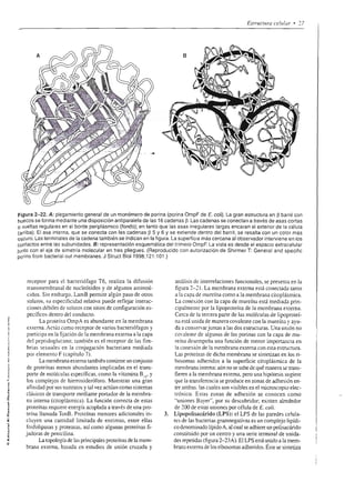 ,a*Éf:H8¡
                                                eñ         o       O J     --
                                                e!
                                                b E E F33
                                                                                   tffii
                                                -

                                              Peá€.U: ee
                                             .E      HP 3E:E.9a                           €gt:I áiÉIgItFtEÉ g:
                                                e="etsEña
                                                s !.U
                                                o:Q-.E     o€
                                                           =.5
                                                                     9:
                                                                     Y
                                                                           J
                                                                         br)       ts+g: Ei e: ;É:s€; g¡¡ nc s:
                                                                                                           e
                                                                                   É)E3.É Ei€T.E :EEHPñáE{E;¡ ta
                                             c       **EÉ;;É
                                                bE dó9 stX g                        :"f [E :'i€E           EE   g-€EnE;*iepi 5                      +E
                                                oo-Q o t9 E9
                                                ocUoo:Lb
                                             : r o o d;l                 d o
                                              ñ oO r-                    i F
                                                ÉEa93iE'¡
                                                     =
                                                Eñ5F6;;9
                                            áÉ3P.8*-eH                             r € 3Éi     E   ÉÉÉ;iFÉ
                                            IEE=gFErE
                                            N O 9rd<   C_!
                                            N-  9    o O dr -
                                            ¿3;ujp.b                                             EgÉggFÉE E ÉEgE
                                                                                   gEÉ€gÉtÉ áFIÉ'F#EÉ
                                             se*apü8t
                                             f I X: f,.:9 o c                                          E á$FEs E
                                             69<:9q?E
                                             iIE o93                 3.=   H.

                                                                                                                                     ¡ru rr ,¡r¡ertPt o




                                            üPBEg
t
U
                                            áfdfg4
                                            *o:
                                                - o
                                           !EEig
                                           Er3-'P E
                                           c9d  vr
      o                                    .9o!PH
                                           üE-sEr                                                                                     ggsrus
                                           a.-d:2
                                                *

      ;e                    6
                                           o;.o
                                           ;t
                                           ee 96 +
                                                       c
                                                      d'EP
                                                           r^
                                                                                íssggss;ÉggÉíiÉgÉffggg
                                            ó
                                           -9   o ül
                                            Q ó: o f
                            I              Y=d ú.q
        I                   9r             5gÉ9h
      ll                                sñ€FE
                                           .<o; c x
                            t:              gü+€                                                                                     -E
                            r               : do       ¿i o
                                                               c                          ggE                                   gi
                                      6
                                           '*-H i o é
                                            o NlCJ
                                                    o                           ! ÉEÉÉ;            É   i   ÉÉ   ÉiiiÉÉ      €             iÉÉÉÉ
     -t                           E
                                            Q oD.9b
                                      -g
     -1                           a
                                      o
                                      o
                                            e 5€:A
                                            .€'3 ?t
A
     -l                                  s     H   g ES

t
                                           .i D o=
                                           9É6
                                            5 0=
                                                       EE
                                                               N
                                                                                ¡EÉfcEE    c   ;I¡;gÉÉfl               EEg;EÉÉÉEEÉ€
                                                  Bqa
                                            +'6óeüñ
                                           { €:É oN
                                           d o X:
                                                           r(
                                           =:-ddr
                                           6 qñ    E.!si
E                                          *3lEE3
                                           É:E u g a-
                                            E c    d) 6-
                                           .ñ Ot Y i - -
!                                           -            O


s
.s
               .¿o
               6p
               á.6
               Ji;
                     G66
                     gctr
                     !6-q
                     o!o
                                 6
                                 c
                                 o
                                 .E
                                           €
                                            H
                                               =

                                             flp 9-
                                                   o:
                                           'átr91oü9
                                                  EÉ$¡S
                                                    o
                                                                                fi['$i1ffÉ{ffi1}gítiffíffig
                                           a!:;-p:EÉ:
                                           9.5?í
                     dói
                     co
                                 6
                                 c
€                    si
                                           { ü t-3 etE
c                    o
                                 E
                                 o
a                    E           E
s                    o           o
                                                                                                                       ÉE
                                           i€ iEár
5
                                            g É HH
                                           .ee
                                                               ñ;               É$É EgE FÉÉ EÉEÉ3Éf                E        E   i f rtu ÉÉi s
                                           L:9Eooó E
                                                     b,
                                                      =;                                       ñ
 