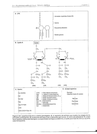 qp ú s lp4¡@     qt   *B)!    e.FlU W             ta t.pottpt O




                                                                                                                                                          o 6-:
                                                                                                                                                          -E c
                                                                                                                                                          o i^
                                                                                                                                                          -9O o
                                                                                                                                                          o,x
                                                                                                              G                                           o oJ
                                                                                                              o                                           d
                                                                                                               o                                              =.o
                                                                                                                                                           oilE
                                                                                                                                                           odf
                                                                                                               K
                                                                                                        G      s .9fl
                                                                                                               oñE-q
                                                                                                                    3 Ée                                  E€e
                                                                                                                                                          i; oo
                                                                                                                                                           96=o
                                                                                                        E
        6'
        N
                                             r-                                                         o    !d
                                                                                                               c=60
                                                                                                                    -           tr ('                      eEa
        6
        6                                    c
                                                                                                        o.
                                                                                                        o    9b                                            9;
                                                                                                                                                           q6
                                                                                                                                                                 b
                                                                                                                                                                 q
        6                                                                                               o    E3                                            ooqi
        g                         r-(J-O
                                                 I

                                                                  ;               -¡                    G
                                                                                                        p                                                  qo ñ
                                                                         -o

                                 lr
                                                                  ^T9                                        U5
        o-9                                                       II    IIIÍ'                           c
        P¿i                      o/    -. -z-o-o-o-     o-o                                       €    f                                                 xf,o
        Ega                                                                                        5
                                                                                                        o
        8F3     d
                                                nTP
                                                ; ^o
                                                ilrTlIe'
                                                          -i"
                                                                                                                                                          6fq
                                                                                                                                                          o*
        3Pb,                :E
                            o-         -7" -o- o -o--()-o-o                                                                                                      E
        EeBB
        PEdE
        co.96
                                 "<
                                  r-o-o
                                                                                                   I
                                                                                                             o!0o
                                                                                                                 d                                         55*
                                                                                                                                                           elgo
                                                                                                                                                           rEs
        loo.<                                I                                                               Eá€cg
                                                                                                             á o.s.:.q               d                     o6d
                                                                                                                                     .E
                                                                                                             Éá                                            cFo
                                                                                                             E¡iEi=
                                                                                                               =.9
                                                                                                             .¡ E Y xg
                                                                                                              4:oob
                                                                                                                                dQ
                                                                                                                                     6
                                                                                                                                      E
                                                                                                                                                          <85
                                                                                                                                                           gb
                                                                                                                                                           oi
€                                                                 II    IIII                                                                              ->oo
                                                                  fJ-o-().-g-o                               ó 9:        d c 6¿;Eg                        6D9
                                                              /                  ilII- o-€       t        ! F;;;
                                                                                                             9=ODO              d 5 6ñ
                                                                                                                                                          P<ü
                                                                                                                                                          :o-
                                                              /                           ,, -ñ   o J        o od  6 6
                                                                                                             o i.<.<.< úo¿<l
                                 o/    -., -z           fv
                                                                                  o-o-o-o                    nilffn      nililf                            u=
                                                                                                                                                           o-d
                                                                                                                                                                 o




                            "l
                                                                                                                        -ll                                s8    3
                    EI           I ^9 TITI                                                                   o^
                                                                                                             ó r¡i>i> > g:iñ                                Es
                                                                                                                                                           .b

                    El-"
                           -"-">FJ --o--o..-(J'..o' ()-.o
                                        II

                                                                                 o-l
                                                                                                             () r I     wAzA                               QE:
                                                                                                                                                           635
                                                                                                                                                           l!; é
                                             c-
                                                     I                             l   Fr¿
                                                                                  o-o-9-o
                                                                                                                                                            qo!
                                                                                                                                               z           pb-
                                             f                                                                                                 6
                                                                                                                                               LIJ         6y c
                                                                                                                                      cO-                  .9c9
                                                                                                                                      u^                   E9¡       ^.
                                                                                                             z                        cio                  3.=.* ü
                                                                                                             o?
                                                                                                                                      d.9                  .96:r:=
                    o
                    o                                                                                   9trd                          Aoo
                                                                                                                                                           Jc6)!
                                                                                                                                                            .o>x
    a
    c               o                                                                                   !i6io                         dióo                 $ o* ó
    J               J                                                                                   E   -(9-o-('-r-               r-o-o-               .l* *6
    <               ai                                                                                  d                                                  e.q:      E

                                                                                                                                                           ,óE H#
                                                                                                                                                           LO>o
 