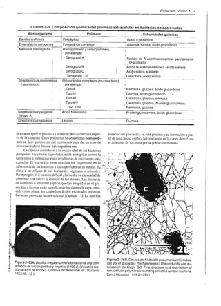 E
                                 E
     6          o                6                                                       É-É€ .,{s.¿s              ¿   tg   K á ó 8.=
     CL
                o                o                                                                                                                                                               ¿ ¿6
     E  E                        I                                                                                                                                                               E Óg
     tt 6                        o
     c, r                        o
                                 c                     o
                                                       o                                 iEF;r€t;ggi€
                                                                                         $E3                                                                                                     5     sg
                                                                                     ÉE; ig: i:;9i{;€:
     .9                                                                   o                                                                                                                     o o-
     E                    9^<                  c0O                       .9
                                                                          c                                                                                                                     E;I
                        o oY o                 ó ó         o-            '9
     ET              o 'c F90
                    o .6 .=F f
                     o    9.9 0
                                               0d
                                               0 ó
                                                           g
                                                           o==>x'
                                                                    >=    :
                                                                         .q
                                                                                                                                                                                                o:o
                          +o  o                o ó         ooóóóx
     :9
     .9
                    .o       6
                         b E-(/)
                                 c!       o    ó d)
                                               @   a
                                                           , dood,*
                                                           gtr tr i: tr
                                                                      ts
                                                                               o
                                                                               c
                                                                               ñ     e€      É   E; sÉ'EÉ              ret:t:É                                                                  €e*
                                                                                                                                                                                                rc v>
     o              d Io x
     o                                                                         o
                                                                               J                                                                                                                 P q6
     o.
     É
      ól                                                                                                                                                                                         FEE
     ()l                                                                                                                                                                                        -q¿
                                                                                                                                                                                                       I    9l
                                                                                                                                                                                                 G:;
       .l                                                                       -
     rl                                                                        't                                                                                                                F'E       3
     .1,
     ol
           I                                                              b                                                                                                                      3Fé
     El
     FI
                    3
                    s            q
                                 o
                                  b
                                 .s
                                                                          o
                                                                          q    ñ
                                                                                     áÉsíááÉ¡áísfgÉi€
                                                                                       a
                                                                                                                                                                                                =
                                                                                                                                                                                                  á:a
                                                                                                                                                                                                $.E E
     5l             t
                                                                               5
                                                                               p     E9          o   7   -*   EÁ,i o 6: ;        EH   9
     ol                                                                                                                                                                                         <.Eg-
                    B
                    c            ¡                                             I                                                                                                                +3 3:
                                 o
                                 .e
                                 o
                                                                               o
                                                                               a
                                                                               o     *I; E¡?É!;*ÉEEFga                                                                                          ft,5 gs
                                                                                                                                                                                                5 9:rt
                    a0           ¿                                             U)
                                                                                     EÉEF aErt;F*;gI;                                                                                           .s'E.b
                                                                                                                                                                                                GOOr
                                                                                                                                                                                                                 H

                                                                                                                                  o!l+    u¡r   $ qJv4{rla üt )vxtto) os¿.ru   tnoru,Z   ppoilpA ü




(,
     :i;Éa:É
     iEl: ÉIgF e;ÉHif
             E
                                          ÉFÉÉágÉÉ          ,
                                                           $iE
                                                                          i*áS:Éi ¡i;ig€sÉi€g
                                                                          €ÉÉi€á:€i ¡[áeiÉgiE
                                                                                                                                                                                            odc>
                                                                                                                                                                                            EeSi
                                                                                                                                                                                            :E: o
                                                                                                                                                                                            PEio
                                                                                                                                                                                            9;oi
                                                                                                                                                                                            ñ oL
                                                                                                                                                                                            :9uÉ^i
                                                                                                                                                                                              e;3
                                                                                                                                                                                                           !Q




                                                                                                                                                                                                           o



     i5E ÉE    iEB: Ei¿iÉ                                                 EE;?áÉ;,-I: EÉE:Ei;                                E
                                                                                                                                                                                            üaEt
                                                                                                                                                                                            SEes
                                                                                                                                                                                            cñdr
                                                                                                                                                                                            d;   oñ

     í+lElli,:!g*irÉ*Esi!;¡i:'¡T11llliÉiii                                                                                                                                                  o 6;O
                                                                                                                                                                                            dp d o
                                                                                                                                                                                            Pdqq
                                                                                                                                                                                            gfiijj
                                                                                                                                                                                            5e3n
                                                                                                                                                                                            Q C.o C
                                                                                                                                                                                            -sP E'8
     ÉííáEÉÉÉs!É                                                                                                                                                                            *.E o e
                                                   Íi,ÉEig É 3iáÉiáÉgáÉááíÉ€iÉÉ                                                                                                             OECQ
                                                                                                                                                                                            3H1E
                                                                                                                                                                                            q 6t P
                                                                                                                                                                                            h oJq ó


     2                   á;a;i;                    ÉÉ-ágEÉugÉii
                                                                                                                                                                                            !q.q a
                                                                                                                                                                                            {5c*ia
                                                                                                                                                                                            "i-
                                                                                                                                                                                            $l e€3
                                                                                                                                                                                                  !
                                                                                                                                                                                            c oco c o
                                                                                                                                                                                                           o
                                                                                                                                                                                                                 E


                                                                                                                                                                                            ü3        -u¡
     ái tÉÉtÉt itÉu,,=
     í
                                                                 E   á;ÉE ss        $ÉIE ztEE'ÉBÉÉz,
                                                                                                                                                                                            *$ $gE
                                                                                                                                                                                            ;diE$g
          7 ü4ÉgiiEUEEálr,ZiÉiF,Ez E: !!                                                      üAEi,i:É=,*Eá,                                                                                fis!8s
                                                                                                                                                                                            h 9t -i<
                                                                                                               -É*;:É                                                                       ! 6 áS€
                                                                                    *i'ÉuÉi=                                                                                                e   [gFé
                                                                                                                                                                                            €*EJE
     E¡i;€ÉilÍ¡i;iirEi¡¡áii;                                                                                                                                                                .gt.-Ek
                                                                                                                                                                                            E oiñ! o
                                                                                                                                                                                            E E oo 3
                                                                                                                                                                                            o.q)c9<
                                                                                                                                                                                            ÑE€.58
                                                                          1it4F                                i                                                                            *€E
                                                                                                                                                                                            5SEF<
                                                                                                                                                                                                  EE
               Éi$       i   EE       ;   i   ÉEE      É?€   E   ái i€               i   E   á?      i   ?É        É   É€   Ei                                                              oq    i o
                                                                                                                                                                                            q o q6!
                                                                                                                                                                                                =
 
