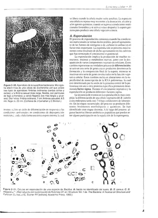 !r-.         . gr.qrr      i               ñE-
                                         sg;{93^ !,EE                                                                                      COq.¡


                                         8esÉ?sE                                 I
                                                                                            _a'aU                                          s5p
                                                                                          eb're:i't". t, r,o.
                                                                                                                                           q     xo
                                                             =ú,i                    ss                                                    3E
                                         EsÉ   áÉEt
                                                 iéE                                               --.o,9 c'                               ocrR
                                                                                                                                                   e


                                                 g: *                                sS                                    -rü,
                                                                                                                                          qo<
                                         E€É€HE*                                                                                          o da
                                         É$€s;E.E :€.i
                                         o¡{okXN-
                                                     sgs                                                ---   ,íq     ^-           '      Eq6
                                                                                                                                           o og
                                         tsBrPáEe ts : :
                                         o oi Ei I.e
                                                     HFE
                                                                                                 I IJ
                                                                                                   o,'        ,
                                                                                                                                           :
                                                                                                                                           OcL
                                                                                                                                           oo o
                                                                                                                                               ñrE

                                     loE6
                                      úo:ifdux = ^YP
                                     .8EilñiEé              €É€
                                                                .-
                                                            I"?,)    F
                                                                                                                  O;9                      ooñ
                                                                                                                                          6Eó
                                                                                                                                          O:O



                                                                                                   .^r'ff'rhi,t.,                         3#       g


                                     THá;T3$ 2EÉ                                                                                         Nii tr-
                                                                                                                                           f
                                                                                                                                          m99
                                     Füg$ügE EE 5                                                                                         r
                                                                                                                                          ood-^o
                                                                                                                                         r tLr
                                                                                                                                               
                                                                                           4€ L¡req*¡¡M€ús    ttuWj   eW   t6rry   D prrorrp, ¿



                                                      3 O.gs E! 3 b
                                                      e e HflE r€e


                     o
                                                      €[9qEE;5
                                                      '1.,IÉ r xEr
                                                      'óQoci6        -o>                  i-EñrÍie¡í                           EEr€$Es
      o9
      tr:                                             t*É¡ü;s#e
                                                      ;3 ó sd.3e;
      9ñi=                                        p=ao>6,^"q.!
      add)
      v-o
      P&s
      SgoE
                                                   c L   gñ
                                                  .ó oDó o,^ r. d !
                                                               o::9
                                                                             G
                                                                             ^        táE;€giÉÉá;Ésj€iÉ
      o.:ó:                                           g;*ÉÉ
      EgAE                                                           iÉsr
      :i@o
      ¿¿t!>                                           6sEüslÉ:€
                                                  ETsÉeÉ$!9
                                                                                      EÉÉÉ      áEEEiE Ii$s i6¡
                                                  scsX€ 3:iq
c
               Fuor¿a ¡mpulsora do                cÉ*E*sH€g
                                                    o¿ >_g o
o                                                 =t        t.P
                                                  .qHFin8F€sF                         áfÉÉÉ:ArÉitñÉÉáfüñg
F
L!
i.r
                                               CD E5'_**g5!FÉ                             Ég'IE.'ÉÉÉÉE                 g   ÉE;€á!E
                                                  3';ÉpFESeP
                                                  3E*385$¡F
                                                  E¡ rüT.e:88
                                                  ^vñDiL*cF
                                                  :    >:   ó:a   - - I o             girÉ€¡EigÉ                      ÉÉÉstsEaáFE
                                     o
                                                  ss;*
                                                  s o:!::6
                                                                É?E¡¿
                                                                  V-Q-.¿
                                                       qE
                                     o            H o c=
                                                  i
                                                            fü Rfgr
                                                              c o
                                                               ^! ¡i
                                     o            5s P ÉÉ:E h 3
                                                  o".^.!o!ñ-_o
                                                  oRto.9Hüd5
                                     o            g;;4    6tYc               o
                                                  c O ; C: og            O   E
              o
              9=                                  FfE€ÉF$ÉE
              9ü
              ó.3
                                                  E¡ s:;; ge€
                                                  nceg;E:E€
                                                 fistEHEEtc
                                                 ñ!ñsF:;96
                                                 F# tEEÉÉÉÉ                           ;igsÉlÉísggsgigffsgg
 
