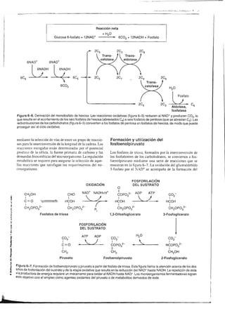 Í'L__J          I
                                                                       pñb
                                                                        -ic >
                                                                       -.rC
                                                                       üx6
                                                                       I óíi
                                                                       .eg¿
                                                                                                     q !
                                                                                                    ! ñ-¡
                                                                                                          ^:9¿
                                                                                                     ;€ es ñ€:
                                                                                                             É c ó
                                                                                                     ó--s s UJ ü i
                                                                                                     ^oul¡dO=
                                                                                                                       ñ.d                       I
                                                                                                                                               .o-l 3
                                                                                                                                                  i-Á
                                                                                                                                                  o    ?/l
                                                                                                                                                       zl.l,
                                                                                                                                                               .-                       <E
                                                                                                                                                                                          JF
                                                                                                                                                                                          Eq
                                                                                                                                                                                          Pó         ;)
                                                                                                                                                                                                     <t
                                                                                                                                                                                                                                    $g¡E
                                                                                                                                                                                                                                    y+x o.g
                                                                                                                                                                                                                                    ¡xeF
                                                                          g                          E,g fc g$ !                                                        d                 HÉ                                        o:6p
                                             8'                        -99                                                                                              fL                                     +

                                                                       ;    B.É                      :E€HÉ!3
                                                                                                     tr b!tr E l:.É o
                                                                                                                                                       oro-
                                                                                                                                                       ror                                                                          €sg          ñ
                                       ÉiA                                                                       tF 5 ¡                                O-(J_O                                        r_. O
                                                                                                                                                                                                                             o
                                                                                                                                                                                                                             E      FSEE
                                       ;< rl,-
                                                                                                     6-E E                                                     I
                                                                                                                                                                                                                                   -oü :
                                                                                                                                                                                 G
                                                   ó                   "909
                                       6Y@
                                                                       qoS
                                                                       Eerq
                                                                                                    -9dg.XP,o:
                                                                                                     ü*ü F É €
                                                                                                                                                                                 o                   8-.1_d                  i     I >o'l
                                                                                                                                                                                                                                    b.e b
                                                                                                                                                                                                                                          q)


                                 ?--)
                                 zl                                    obEfr                        '5 f c 5I dr s
                                                                                                     ..=d*
                                                                                                                          F
                                                                                                                          9P                                                     o
                                                                                                                                                                                 E
                                                                                                                                                                                                                             o-

                                                                                                                                                                                                                                   ETÉ3
                                                                                                                                                                                                                                                 H

                                 @'                                    ! F lqp
                                                                                                    €ñis;ag            =uv

                                       EI                              'Egég
                                                                        g 38F
                                                                                                    .E9p;üÉu
                                                                                                    'ó:=¡1.6 ¡ I
                                                                                                                                                                                 o
                                                                                                                                                                                 o
                                                                                                                                                                                                                                    o
                                                                                                                                                                                                                                   P 6-Q
                                                                                                                                                                                                                                    :6 d,g
                                                                                                                                                                                                                                   :9:a6
                                       á                                                            Hg:o'g;ró
                                                                                                    TIÉqEir.
                                                                                                                                                               11..              o
                                                                                                                                                                                 L                                                 HE ba
                                 2--)
                                 zl
                                                                       .EE Bñ
                                                                       1b F'a
                                                                       (o d.X d
                                                                                                    *;g üer í F                                        =P                                                                          EE3 s
                                                                                                                                                                                                                                   ü-bq:
                                 @'
                                                                       e 3E á                       E 5 8i;3
                                                                                                    .!xi5:¡99!
                                                                                                                               E
                                                                                                                               E                       3?3"
                                                                                                                                                       o-o-o
                                                                                                                                                                                                                                   ñR;.>
                                             8'                        É,cÉ
                                                                       ¡i óE a
                                                                                  I                 il EX.o
                                                                                                    HgIF"EH!E
                                                                                                                  = d
                                                                                                                      H
                                                                                                                        =                                                                                                          És É*t
                                                                                                                                                                                                                                   =9d-,

                                                                                                                                                        lJ|purF'rydrv.rh                  dr4/       WW,,                         FWa        a




                                                                                                                                                                                                                                        6d
                                                                                                                                                                             o                                                       'C-
                                                                                                                                                                             o                                                       'd6
                                                                                  g
                                                                                                                                                                             o                                                        trú
                                                                                                                                                                                                                                      6.a
                                                                                  óo
                                                                                  d)6
                                                                                                                                            o                                N                                                        o9
                                                                                9E
                                                                               .!o                                                                                           o
                                      o.9o                                      x:
                                                                                                                                            d
                                                                                                                                                                                                                                    .3,
                                                                                                                                                                                                                                    cd
                                                                                                                                                                                                                                    =d
                                      -sgñ                                     9o                                                          o                                 :9                                                     €o
                                      6q;
                                      -p     .l¿           ó                  E;¡                        € -a                                                                o
                                                                                                                                                                                                                                    {E
                                      óñ;e                                                                                                                                   o
              Id                                                                                            !¡
                                                                                                                                                                                                          €€
                                                                                                                                           oO
                                                                                -o                                                         o                             o
                                                                                                                                                                         o
              @
                  o
                       o''            *e eo €s                 p_             ;f)
                                                                              9.9
                                                                                                                                           l
                                                                                                                                                                         o
                                                                                                                                                                         L                                aó
                                                                                                                                                                                                          I             .9
                                                                                                                                                                                                                                    €fr
                                                                                                                                                                                                                                    .:r!
                                      t  á  ;q
                                                                                                                                                                                                          t0 :a
                                                               @_-ó                                                                    I
                                                                              3o
                                      g€ss ñ
                  6v
                  o                   E  I                      Jt¿
                                                                              u
                                                                                                                                                                   ó
                                                                                                                                                                   EI                                                               E-8
              E
                                      oó¿ñc
                                                                                                                              !t                               "d       rl                                I E-
                                                                                                                                                                                                          .c             u
                                                                                                                                                                                                                                     8di
                                                                                                                                                                                                                                    o-
                                                                                                                                                               LI


                                                                                                                              i)
                                             a-L                                                                                                                                                          Li             ¿          D.6
    ir
     +l                                                                                                                                                        .)
                                                                                                                                                               f-l
                                                                                                                                                                                                                        "           Sú
                                                                                                                                                                                                                                    ro
                                                                                                                                                                                                                                    od
    5 rlr- 8                                                                                    I
                                                                                                I
                                                                                                I
                                                                                                                                                                                                                /,r               I'
                                                                                                                                                                                                                                    9a
                                                                                                                                                                                                                                    Ed
                                                                                                                                                                             o                                     /
    ._)
    'Y
                                                                                                I
                                                                                                I                                      o                                     6                                     t,
                                                                                                                                                                                                                   |                3E
                                                                                                                                                                                                                                    -ó
    "./
    zl        I
                                                                                            Id
                                                                                                I
                                                                                                                                       d
                                                                                                                                                                         !
                                                                                                                                                                             o
                                                                                                                                                                                                                    I
                                       I
                                                                                                                                   o

    +^                                                                                      €
                                                                                                                                   E                                                                               |óo
                                                                                                                                                                                                                                    É€
    at                                                                                                                             @-
                                                                                                                                                                         o                                          I               5c-
    Arl
    s
                                                                                            P
                                                                                            3
                                                                                            6
                                                                                                                                       ñ
                                                                                                                                       o
                                                                                                                                                                         -9
                                                                                                                                                                         q
                                                                                                                                                                                                                /l
                                                                                                                                                                                                                /                  ;s
                                                                                                                                                                                                                                    --E
    :)                                                                                      I                                      I
                                                                                                                                       f,                                o
                                                                                                                                                                         c
                                                                                                                                                                         o                                     /
                                                                                                                                                                                                              ,,                   E¡
                                                                                                                                                                                                                                    Eñ
    ?./
    zl        I                       oo               9o
                                                                                        ¿
                                                                                        L
                                                                                                                                                                         o
                                                                                                                                                                         o-                                o                        ñp
                                                                                                                                                                                                                                    oc
                                                       gñ
                                                                               .l                                                                                                                         t
                                                                                                                                                                                                          i:
                                                                                                                                                                                                                        o
                                                                                                                                                                                                                        ñ           o€
                                                                                                                                                                                                                                    -o
          9
          g
                                      oo
                                      ó;¡ ó !) *d
                                      o!1 (
                                            -3-q
                                                               +3              krl          1
                                                                                                                                                                                                          É Y
                                                                                                                                                                                                          N
                                                                                                                                                                                                            E
                                                                                                                                                                                                            o
                                                                                                                                                                                                                                    H8
                                                                                                                                                                                                                                    áA
                                                                                                                                                                                                          6                         ."9
          o
          ó:¡                         €E         €é    o       !9v
                                                                              A)
                                                                              <l                                                                                                                          83 €r
                                                                                                                                                                                                          E¿ ts
                                                                                                                                                                                                                                    8s
          o!J
          8                           =tr
                                                 xri                                                                          qd
                                                                                                                              bB50
                                                                                                                              EsXÉ                                                                         b:ü:E
                                                                                                                                                                                                                                   .E;
                                                                                                                                                                                                          !    d                    xa
          !                                                                             I                                     obx-
                                                                                                                              E€ü3                                                                     ü                 a         5€
q
                                                                                        .E
                                                                                                                   o          ó                  ó             x                     t+                92               g          a9
                                                                                        p                                                                                                                               tl
o
d                            d                                         g
                                                                        o               ó-;                       É E-o é- Eri'
                                                                                                                  E o-
                                                                                                                           €=                                                        ;e"
                                                                                                                                                                                     I
                                                                                                                                                                                                       "",
                                                                                                                                                                                                       -                           t4
                                                                                                                                                                                                                                   o96
c
o
o
o
s
                             G
                             o
                             o
                             o
                                                                       €
                                                                       G
                                                                       d
                                                                        o
                                                                                        oO
                                                                                        o
                                                                                        ó
                                                                                        e
                                                                                                                  b =()
                                                                                                                  oQ9oc
                                                                                                                   d900
                                                                                                                                                 6-
                                                                                                                                                 =(J
                                                                                                                                                 dEU
                                                                                                                                                           €=                        E
                                                                                                                                                                                                 fr
                                                                                                                                                                                                 6
                                                                                                                                                                                                                                    co!
                                                                                                                                                                                                                                    gEÉ
                                                                                                                                                                                                                                   >3;
€                            c                                         o
                                                                                        I                          odo--
                                                                                                                   ñt:*
                                                                                                                  63(Jr.                                                                         ü                                 f€g
o
o                            E
                             F
                                                                       c
                                                                       i5
                                                                                                                  !rü
                                                                                                                  d                                                                              E
                                                                                                                                                                                                 F                                  EEE
                                                                                                                                                                                                                                    d'É P
                                                                                                                                                                                                                                   E 3,ó
 