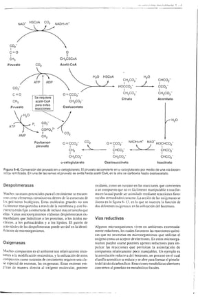 oH
                                                                                        .)
                                                                                        ol                  qo
                                                                                                            ot
                                                              ro                               l,g
                                                        ¡8f;                                      XG
                                                                                                            Ai
                                                                                                                            FE:EEF€:* üÉÉEá
                                                                                                                            : EÉ i;ÉIáj
                          .Qo                           OI6                                        ñ3       eó
    :f
                                  g                     o-o I                           8-5_5           E   ¡o
                                                                                                            E-,6                        s,E g ;e
    I
    o
      +
                        f8
                      "=E
                        O<                              oo                               ll
                                                                                        o9              o

                                                                                                        d
                                                                                                            6P
                                                                                                            Yo              :s:i,EÉá;É' €iEÉÉ
    z
                                              fL
                                              o                              .o
                                                                                                            :o
                                                                                                            Es              i;{!éFE;É   t:Eg¡
                                                                                                                            E¡Éq;Éá:* É'EFró
                                                                                                                                        :ssF.q"
    o
    o-                                                                       ,Ñ [
                                                                             ooi'
                                                                                        I
                                                                                         oo
                                                                                         C=
                                                                                         OP
                                                                                                            qE
                                                                                                            a6
                                                                                                                            *iH:;lÉlF
                                                                             (,)-O=()                       á6
    o
    o-
    a
    I
                                              F
                                                                                        I
                                                                                         @.:
                                                                                         oo                 E-
                                                                                                            _o
                                                                                                            :S5
                                                                                                                            ÉE?;EEF€:E :;e!;
                                                                                                             9c
                                                                                                             OU
                                                                                                            cd
                                                                                                            OD
                                                                   o                                        (Jd
                                  o                tv
                      il f                         cill ,o .:
                                                   o*o ft L
                                                                                                            a€
                                                                                                            @h
                                  3
                      O-O         -!
                                  c
                                                                                                            o;
                                                                                                            E-q     É
                                                                                                                     ('s,
                                                                                                                            íÉígFigi* $ á;ííj
                                                                                                                            u¡   eqrre+¡ü fd $tuvt) W   W   rr r.pura o




¡¡á¡¡ÉtEÉEgÉáEÉiÉ!ÉÉEiÉ;ÉEÉiiEÉiiH€EfE;iiEiiEf
ÉÉ
;E
í'
¡¡
.Fü
-
         ;E=r3;e'E¡5íÉgÉ:i;á ; tEE€¡gx:;É;:88- :Éyd,¡e!tr=s+
         ¡-ÉiffE¡;É9;Éi:ÉÉ;.
         ;$
       É "=     Z     o       >d i€íttgEEEtÉFÉÉE tEiíÉiEiÉÉ                                   f
É:;^ P E gÉ iÉÉiáEÉ'ililiÉ-iii É ttLÉg
;Ee      *u*g
                *
¡ig s € EÉ?llÉErÉlÉ¿rsE;ÉFá E ái € 5,ÉE € i i _ É€ l'g1ZÉli¡
       É                                                                                                                           EÉ       É

:gI H É dE;É79=e;!3r.EEEúEe-+
3EZ .D'6
         ;E  aj!É! igEE,E riÉig .=.c !E:F:E9Ff.o:9i'ÉoKrEs.-3dE,q,I-
                                É.
                                                                                                     gÉEtÉffáÉi;iEÉÉ¡tÉsá:¡9ÍEiÉ
é!"E
E9i




¡?É;i;? aÉÉ iit i¡ iE É*¡iEE:Étg
    j                     g
                                                                                              E Égli;              ;EiÉ:¡ É ÉgÉEgá;;E;
          i¡; i Éai
                                                                                              i Ei lE: aiE:;É g áÉ¡::ÉEgiE
;                             É   É€FÉÉ            u, áÉá¡ásEáÉÉ
                                              gáF?      ;     i? á     ¡;É
¡l¡ t Éláii ;!ili{
                                                          E


                                                                                                                            iig; g ÉÉrá;:;iltll
                                                                   =

                                                                                              €      f'E!=         iÉÉ
              jíÉi                                       ggá€ÉE
ii        E          ijFff             áÉ É   íííÉ                           íÉE              É i¡?ÉÉ'EÉgÉ¡É€ É* EÉfiiÉrá*i
 