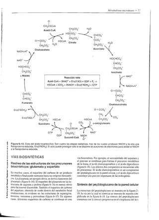 I                                                              ff8
                                                                                   o-o           eÉ
                        -Q
                                                                                          .;      PO
                        r'8
                        VI                                                         l.-z
                                                                                                 iúq
                                                                                                 33                      fiÉüEI€fE$gE
                                                                       o
                                                                       O       To
                                                                       U) ,,-/^
                                                                       I -
                                                                                /s
                                                                                                (Ád



                É
                    /-:             o                                       o14
                                                                                                 oñ
                                                                                                 .eé
                                                                                                Xu
                                                                                                                         ÉÉ ; HrEiBüi¡                       fi
     "=B I
       f
       o<                     , ciE                                    o     6
                              d-o-B
                              oIc
                              o-()   .9
                                                                       O
                                                                       :r
                                                                       ()
                                                                            '6

                                                                            o
                                                                             o
                                                                                                {]-ñ
                                                                                                dT
                                                                                                 oU
                                                                                                                 (n      Ei igÉ€ÉÉ¡gg€
                              ,rx
                              ld                                                                                 (J      oF         6gEo='.,E6¡;
                              oo                                                                E F,¡
                                                                                                .ouJp

                                      .i*scf
                                                                                                Qdl
                                                                                                obo              F *u gfi F3 3tÉÉ iÉ
                                                                                                                 z fig ráá*E€EdEú
                                      + .I       3<-
                                                       s8ü
                                                       r r       r                              o     ó-q
                                                                                                                 g E'g iEEéTÉ;;EÉ
                                      i
                                      oooj   O-ó+
                                             =         o=o¡iE    o                              oi*
                                                                                                r.!         Y
                                                                 I                              ¿e*
                                                                  N
                                                                                                 e á-ü
                                                                                                                 s ÉEjÉigÉÉ$ÉÉ'
                                                                  c
                                                                 U                               o>5
                                                                                                 J    Ol-


                                                                                                iI.E 



                                                                                                                                                                  I
                                                                                               .¡F dr * qla¡r3        rf atñN   J   W   ñU   rt r.tnvn   o




€




                                                                                               ga-                                              gig
                                                                Eg¡¡ÉggígÉál                                    EÉÉg;aÉI É;gE

                                                         <
                                                         o
                                                         o
                                                         o
                                                                gÉgíÉáígsgg¡ií€ gÉgÉgggÉsgíiÉísgg
                                                         6
                                                         o
                                                         o
                                                         o
                                                         .9
                                                         .E
                                                         5
                                                         o
                                                         .9
                                                         o
                                                         o
t                                                        c
                                                         o
                                                         3
                                                         L
                                                         d;

.n                                                       ¿
                                                         o
                        o
,i   IUG
     .jil"1":
     o-o-o              .:
                                                         J
                                                         o
                                                         IT           ggEEigíáiEiíiíEÉgÉggÉi!ig*
                        d
s

:
'ü
,s
 a
 o
                                                                H €Éái;ÉEi;É                          I E,EfE                   Eg€EEEgFÉgÉ


€
N
                                                                tÉ€€iEEgiEilEÉ3i¡'giÉEáE$$EI
 