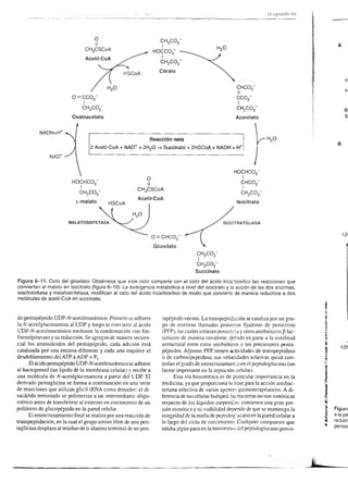t--l b
              N         ,       I   (        óo
                                            ;ñ
                                                                                   I                                                                             3l                                 E    ú'O
                        dA F
                        e-ó-o
                                            ,TE
                                            o=
                                                                                   €
                                                                                   6
                                                                                   o                      s9l
                                                                                                                                                                 ll
                                                                                                                                                                 El                                3u€
                                                                                                                                                                                                   (l)
                                                                                                                                                                                                    ;'6
                                            N-'                                    g                                                                                                               dd{
                .t
                            I
                            i
                                                                                   o
                                                                                                     p:-/                         ()
                                                                                                                                                                 ¡t
                                                                                                                                                                 irÍ        F
                                                                                                                                                                                                   oob
                                                                                                                                                                                                  6rF
                                                                                                                                                                                                  EOC
                                                                                                                                                                                                   hoo
              ,g¿                       ,                                                                                                                                                         ñRa
              ¿i I                      )r.&
                                                 o
                                                                                            fsl                                                                       l''
                                                                                                                                                                                                  :!   o
                                                                                                                                                                                                  ó o-ci
                                                                                                                                                                                                   :É",,¡
              ü"1-5ÉÉ
              6-¿-8_É_f EE
                                                                                            €#
                                                                                            -*       I
                                                                                                                                                                      l-
                                                                                                                                                                            n                     .bpó  o
                                                                                                                                                                                                  'o+ !86
                                                                                                                                                                                                  'F'9.Q 5
                                                                                                     I                                                                                            '; ge3
                   rl                                                              o
                                                                                   N             d                                                                                                .--oOO
                                                                                                                                                                                                  <€EA
                   e*l                                                                                                                                                                           ; -E d
                n)                                                                                                                                                          o-                    E3Ég
                                                                                                                                                                                                  o!)F I
                kf.9
              I - |                     I -o                                                                                                                                z                     €e 3 i
              FY x x ?-€Ea
              o-ó_6_E_ó .3 É e
                                                                                                                                                                            N                     o+i'o;
                                                                                                                                                                                                 3#eE
                                            EA                                                                                                                                                     q:b J
                                                                                                                                                                                                 3 X QD
                                                                                                                                 O                                                               I
                                                                                                                                 N                                                               @=:_-
                                                                                                                                                                                                 rbr"ü
                                                                                                                                                                                                 3d-o9
                                                                                                                                                  rw) s - tp¿'¡ry w *rrp)
                                                                                                                                                                                                 8f8[
                                                                                                                                                                                 a.tqu frry   rr r.pupl o


s


                                                                  f
                                                                  
                            .¡              o
                                                                                       ¡¡be                                                    ÉF$ÉigfrÉFEF€sÉ$F$iÉ
                            +()r I
                            I'o             G                                                                          Á
                                            c                                          óXOE                            <
                            ()=o-o          o
                                            o
                                                 ------..i.




                                                                 l---;-r
                                                                lrl                    g-ü-s''F                        E
                    ,/                                          I +l
                                                                                                                                               r¡g gÉjliÉfieffff¡ÉíÉf
                                                                                                                       F
     o,/
     fr/ /
                                                                I -l
                                                                IÓI
                                                                I <t
                                                                tzt
                                                                                                          g
                                                                                                           -
         r                                                     I*l
                                                               t<t                                                
                                                               I 6l
                                                               I 9t                                                        ---t
                                                                                                                                        "-"'
                                                                                                                                        $.$É   g;ry
      I
    9.a$t
    o-E-o s
                                                               I *l
                                                               lNl

                                                               lo-9
                                                               lE g
                                                               JE O
                                                               t€ ¡
                                                               lo-c¡)l
                                                                           I
                                                                           I
                                                                               f


                                                                               i
                                                                                                                            I
                                                                                                                              '*
                                                                                                                             Q9
                                                                                                                             uñ
                                                                                                                                               f;f
                                                                                                                                               f€s
                                                                                                                                                      $ÉÉgFfÉF$iFÉgg€gfÉ
                                                                                                                                                      ¡F{r;ÉEÉÉ€
                                                                                                                                                                 gÉgáiF*
                                                                                                                                                      ÉjjÉEgÉitÉ 9ÉÉÉÉÉgF
                                                                                                                                                                         [
                                                               lo 4l
                                                                                            ÉÉ                               i=
                                                                                                                             96                       $á8        EÉÉÉ€ EfÉ F9 ggÉ
      é
                                                               ld^
                                                               Itr"-l
                                                               trt
                                                               lNl
                                                               I   +l
                                                                           I


                                                                                       o-E 3-
                                                                                         f 3 q /
                                                                                         (-)<
                                                                                                    ó                         .,
                                                                                                                                               tgÉ           5

       O
          
           r-
              ¿a
                                                           I
                                                               l+l
                                                               tót
                                                                      *l                      -r /                    i/
                                                           I          *l                         o                /
            o                                             I<l                                3/
    "=pr/¡$st
                                                           tot
                                                           I
                                                           I
                                                                  9l
                                                                  6l
                                                                                              I ---./
                                                                                              -           ,/-
                                                                                                         /a                                s:; .se:g.Éi-É¡
                                                                                                                                                        gágÉgtr=sgÉ
                                                                                                                                                      É g€
                                                                                                     /f
                                                                                                                                           '$*
                                                         tof
     o<    óf
                            f-"
                                                         I <l
                                                         IN¡
                                                                                       d8€
                                                                                       ?+'d@
                                                                                                              H                            3éE¡ 'r'sÉÉ f i'g
                            oó
                                        €                                              o-óE
                                                                                       oi<                    I                                            =i
                                                                                       4<
                                                                                                                                           eÉÉF ÉgÉfFgeÉfE Fg ü$É$Ff
                                                 +o
                                                 fs
                                                 ó1

                                                 z
                                                                                                                                           ffá$ ÉgfiÉÉgÉÉ#$$F€É
                                                                                                                                           Ésg$ e*rÉisg$$EffÉg€r$$
 