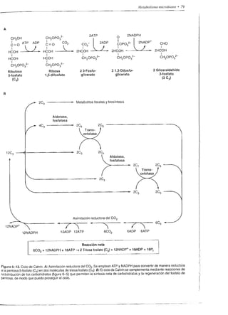 t--l b
              N         ,       I   (        óo
                                            ;ñ
                                                                                   I                                                                             3l                                 E    ú'O
                        dA F
                        e-ó-o
                                            ,TE
                                            o=
                                                                                   €
                                                                                   6
                                                                                   o                      s9l
                                                                                                                                                                 ll
                                                                                                                                                                 El                                3u€
                                                                                                                                                                                                   (l)
                                                                                                                                                                                                    ;'6
                                            N-'                                    g                                                                                                               dd{
                .t
                            I
                            i
                                                                                   o
                                                                                                     p:-/                         ()
                                                                                                                                                                 ¡t
                                                                                                                                                                 irÍ        F
                                                                                                                                                                                                   oob
                                                                                                                                                                                                  6rF
                                                                                                                                                                                                  EOC
                                                                                                                                                                                                   hoo
              ,g¿                       ,                                                                                                                                                         ñRa
              ¿i I                      )r.&
                                                 o
                                                                                            fsl                                                                       l''
                                                                                                                                                                                                  :!   o
                                                                                                                                                                                                  ó o-ci
                                                                                                                                                                                                   :É",,¡
              ü"1-5ÉÉ
              6-¿-8_É_f EE
                                                                                            €#
                                                                                            -*       I
                                                                                                                                                                      l-
                                                                                                                                                                            n                     .bpó  o
                                                                                                                                                                                                  'o+ !86
                                                                                                                                                                                                  'F'9.Q 5
                                                                                                     I                                                                                            '; ge3
                   rl                                                              o
                                                                                   N             d                                                                                                .--oOO
                                                                                                                                                                                                  <€EA
                   e*l                                                                                                                                                                           ; -E d
                n)                                                                                                                                                          o-                    E3Ég
                                                                                                                                                                                                  o!)F I
                kf.9
              I - |                     I -o                                                                                                                                z                     €e 3 i
              FY x x ?-€Ea
              o-ó_6_E_ó .3 É e
                                                                                                                                                                            N                     o+i'o;
                                                                                                                                                                                                 3#eE
                                            EA                                                                                                                                                     q:b J
                                                                                                                                                                                                 3 X QD
                                                                                                                                 O                                                               I
                                                                                                                                 N                                                               @=:_-
                                                                                                                                                                                                 rbr"ü
                                                                                                                                                                                                 3d-o9
                                                                                                                                                  rw) s - tp¿'¡ry w *rrp)
                                                                                                                                                                                                 8f8[
                                                                                                                                                                                 a.tqu frry   rr r.pupl o


s


                                                                  f
                                                                  
                            .¡              o
                                                                                       ¡¡be                                                    ÉF$ÉigfrÉFEF€sÉ$F$iÉ
                            +()r I
                            I'o             G                                                                          Á
                                            c                                          óXOE                            <
                            ()=o-o          o
                                            o
                                                 ------..i.




                                                                 l---;-r
                                                                lrl                    g-ü-s''F                        E
                    ,/                                          I +l
                                                                                                                                               r¡g gÉjliÉfieffff¡ÉíÉf
                                                                                                                       F
     o,/
     fr/ /
                                                                I -l
                                                                IÓI
                                                                I <t
                                                                tzt
                                                                                                          g
                                                                                                           -
         r                                                     I*l
                                                               t<t                                                
                                                               I 6l
                                                               I 9t                                                        ---t
                                                                                                                                        "-"'
                                                                                                                                        $.$É   g;ry
      I
    9.a$t
    o-E-o s
                                                               I *l
                                                               lNl

                                                               lo-9
                                                               lE g
                                                               JE O
                                                               t€ ¡
                                                               lo-c¡)l
                                                                           I
                                                                           I
                                                                               f


                                                                               i
                                                                                                                            I
                                                                                                                              '*
                                                                                                                             Q9
                                                                                                                             uñ
                                                                                                                                               f;f
                                                                                                                                               f€s
                                                                                                                                                      $ÉÉgFfÉF$iFÉgg€gfÉ
                                                                                                                                                      ¡F{r;ÉEÉÉ€
                                                                                                                                                                 gÉgáiF*
                                                                                                                                                      ÉjjÉEgÉitÉ 9ÉÉÉÉÉgF
                                                                                                                                                                         [
                                                               lo 4l
                                                                                            ÉÉ                               i=
                                                                                                                             96                       $á8        EÉÉÉ€ EfÉ F9 ggÉ
      é
                                                               ld^
                                                               Itr"-l
                                                               trt
                                                               lNl
                                                               I   +l
                                                                           I


                                                                                       o-E 3-
                                                                                         f 3 q /
                                                                                         (-)<
                                                                                                    ó                         .,
                                                                                                                                               tgÉ           5

       O
          
           r-
              ¿a
                                                           I
                                                               l+l
                                                               tót
                                                                      *l                      -r /                    i/
                                                           I          *l                         o                /
            o                                             I<l                                3/
    "=pr/¡$st
                                                           tot
                                                           I
                                                           I
                                                                  9l
                                                                  6l
                                                                                              I ---./
                                                                                              -           ,/-
                                                                                                         /a                                s:; .se:g.Éi-É¡
                                                                                                                                                        gágÉgtr=sgÉ
                                                                                                                                                      É g€
                                                                                                     /f
                                                                                                                                           '$*
                                                         tof
     o<    óf
                            f-"
                                                         I <l
                                                         IN¡
                                                                                       d8€
                                                                                       ?+'d@
                                                                                                              H                            3éE¡ 'r'sÉÉ f i'g
                            oó
                                        €                                              o-óE
                                                                                       oi<                    I                                            =i
                                                                                       4<
                                                                                                                                           eÉÉF ÉgÉfFgeÉfE Fg ü$É$Ff
                                                 +o
                                                 fs
                                                 ó1

                                                 z
                                                                                                                                           ffá$ ÉgfiÉÉgÉÉ#$$F€É
                                                                                                                                           Ésg$ e*rÉisg$$EffÉg€r$$
 