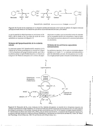 3€H#
                                                                                                                                  .. E ó -                                                                                             ci
                                                                                                                                  {E;Eg                                                                                                o
o                                               o
                                                                                                                                   ó: d
                                                                                                                                  To-o
                                                                                                                                  2 -s E.q
                                                                                                                                                                         'b- f;                                                        E
                                                                                                                                                                                                                                       .e
                                                                                                                                                                                                                                       5
o                                               o
                                                                                                                                  gsEr                                   lo-?-Ql                     ,                    d            E,
o
o
E
s                  o-
                                                .9
                                                o
                                                E
                                                ñ
                                                                                                                    E
                                                                                                                    o.
                                                                                                                    o             .xEHE                                  iI),*i
                                                                                                                                                                         r:tf1 |
                                                                                                                                                                         t-         -..- /.          '.
                                                                                                                                                                                                                         € p
                                                                                                                                                                                                                         o-
                                                                                                                                                                                                                            6
                                                                                                                                                                                                                            e
o                  o                                                                                                z              H O-q-                                       2-(l                                        d
p                                               o                                                                                 :Qro
                                                                                                                                     gT                                                                                                o
o
                   z                            E                     T
                                                                      z                                              +
                                                                                                                              9 .E H
                                                                                                                              G   6o*=
                                                                                                                                                                         ¡,- -- -,..1 r¿             l                                 6
                                                o                                                                                                                                                                                   ó
E                  +                            o                                                              ,O             E Esse                                                                     I
                                                                                                                                                                                                                                    b
                                                                                                                                                                                                                                       G
6
o
                                                a                      +                                       drr f f d
                                                                                                               o-o-o-o-o      =   -6dd
                                                                                                                                                             t--G
                                                                                                                                                                           s       N        N            Í           ..E               E

                   -
                                                o
                                                                                                                              E' ['i E-g                     ^* -
                                                                                                                                                             qIIXIIIi
                                                                                                                                                             o-q-o-o-o-z-rJ-z                                      Ir :6               o
o
c
.9
                   z                            o
                                                c
                                                .9
                                                                      o-
                                                                      F                                                       S s i3
                                                                                                                              d E;.eo
                                                                                                                                            s                  +zo<
                                                                                                                                                                :c
                                                                                                                                                                                                                                    o
                                                                                                                                                                                                                                    p
o                                   o           o                                                                                 .a;i+-!                                                                                          .d
o                  +E                                                                                                                                                                                                                  o
                                                                       +                                                          !t o_Q.=                                                                                          .g
      ,^19                                      c
o
o
      () il - r
      o ()-o-()-(J OE
                                                o
                                                o
                                                q    b-;"+'b                                   €               d"¡f
                                                                                                                         o
                                                                                                                      f rl z E    E b,6
                                                                                                               o-o-o-o-()- f g boñd
                                                                                                                                     $                            ¡O                                                     E
                                                                                                                                                                                                                                     E


                                                                                                                                                                 ,o-o-o-o-o*z f
                                                                                                                                                                  d-fflt
o                    o                          o    ()-o-(j-()-o                                                            ts                                                                                          ._c       d
o                                               o                                                                                                                                                                        E

<
                                    o
                                    ?
                                    é           ai
                                                             o3                                =
                                                                                                                 f              i-{5g
                                                                                                                             O P.= PT
                                                                                                                                                                 1+Z
                                                                                                                                                                             o
                                                                                                                                                                                                                         G
                                                                                                                                                                                                                         5
                                                                                                                                                                                                                                   ¿
                                                                                                                                                                                                                                    G
                                                                                                                                                                 :-, -,-L---lr      ,   .                                6         5
                                                                                                                                                                                                                                   o
                                                                                                                                  F$TE                                                                                             t!-

                                                                                                                                         1ry) u¡ F qr-.!tr       ¡f nttlt       I xrqu         ru            r, FW,               A




                                                                                              Sdiri                                                                                                          ñ 6 +SAY
                                                                                                                                                                                                             c=-!
                                                                                                                                                                                                                                            J
       oo                                H               E E.9                                =FÓd
                                                                                                   E.i s
       O()                               o           ¡ o,:                                   E"                                                                                                              ;EáES
     1 _
     /
                                         _
                                         o
                                         c
                                         o
                                                      úO:
                                                      ú ú*
                                                     €oo
                                                      o-    É
                                                                                    o
                                                                                    9
                                                                                              küúE
                                                                                             EIE 9
                                                                                              EH     é€
                                                                                                           S
                                                                                                                                                                                                             3 EA E;
                                                                                                                                                                                                             PSoP-
                                                                                                                                                                                                             -óo:_g
                                        'i            tr x9                         (!        ¿'ñúbl                                                                                                              q
              ,t
                                        *
                                        u
                                         oodi         q é8
                                                      cñ?                           g tFr*                                                                            96
                                                                                                                                                                                                             E
                                                                                                                                                                                                             $üs$e
                                                                                                                                                                                                                      út,H
              I
                                         o
                                        .E           =l:
                                                            d
                                                                                    3
                                                                                    g ÉEE€                                                                                                                     -FE
                                                                                                                                                                                                             É'g
,:¿
              I
                                6
                                d
                                6
                                o
                                        !V+
                                        ox
                                        D;
                                                         E E'E
                                                         Ec ó
                                                         o!.=
                                                                                      i;ü!
                                                                                     q)      i ó-d I
                                                                                                                                                        '.
                                                                                                                                                        N
                                                                                                                                                         +*ü -*o
                                                                                                                                                        +-
                                                                                                                                                                      Ég,                                    c Q Q oE
                                                                                                                                                                                                             €E,ÉEq
                                                                                                                                                                                                                               E

                                                                                                                                                               ()t

     rl-
              I                         of!
                                        q3
                                                         Ko-H
                                                         3€
                                                                                    .c
                                                                                     o
                                                                                             !-L-3
                                                                                              e"¡ 6'á
                                                                                                                                                        *                                                   ss
                                                                                                                                                                                                             :v6dJo
                                                                                                                                                                                                              o ! o od
                                                                                                                                                                                                                      8 9:b
     oo
      /_                               pá
                                                                  3                  CL       A P €=                                                                                                          OQLñN
                                                                                                                                                                                                              o od o c
                   o                    cÉ           €tE                            .éE S:EE                                                                                                                 EB-'ls€
     /o
     (,)o                               3R !El e
                                           c o x
                                                                                    sg
                                                                                                                                                                                                              d c@
                                                                                                                                                                                                                  6FS:
                                                                                                                                                                                                             -t'9>!!^
                                                                                                                                                                                                                               ;

      //d
                   (J                   €E IH:
                                        ó!            ó    *'r
                                                                                             Er      E     E
                                                                                                                                                                                                             I
                                                                                                                                                                                                               3o
                                                                                                                                                                                                             € E-
                                                                                                                                                                                                                  L
                                                                                                                                                                                                                          EUq
                                                                                                                                                                                                                          F o!
                                        N=            c    É I
                                                                                    SE É;?                 A
                                                                                                                                                   +
                                                                                                                                                                                                 _ = O ¡E -
                                                                                                                                                                                                   tso-.!e69
                                                                                    e s 3tr:'i
              l                         -g            d
                                                           =
                                                               !                                                                                  L

                                                                                                                                                                                                á iEETEfi
                                                      o

-{" I
              I.   o,+
                                        oe
                                        ;{           É';
                                                           -*
                                                                           P
                                                                                    cP       - E:          €             o
                                                                                                                         c
                                                                                                                                                  o
urá                    -       o
                                         ;3          !!E
                                                                  Y.

                                                                                    66 .:bEE                             !                         o
                                                                                                                                                                                                      9¡     .3 e 5 E
                            l
                                o
                                         od
                                        6E                                                                          d- E'-                        @
                                                                                                                                                                                                              F+ l.N >=

              ls ¡
                                        €o
              lr-                        od           o
                                                     !tr -
                                                                                          ñFdc             '             o
                                                                                                                         E                                                                                   eg H:€?
                                         dd
                                                                               .E e,É;sg
                                                                                  -b-ot
                                +                                                                                                                 o-                                                         átr 4 "'É O
                                                                                                                         q'                       F
                            o
                            .t
                                o        óc
                                        '6f!
                                         ño
                                                      q>
                                                      oü
                                                     E!                        o   ¿S o 96                                                        o                                             ¿            2€*€Ee
                                                                                                                                                                                                             o I ) >€^
     or r
     ooo                    .E
                                        Ei;           E:P
                                                                               ^J
                                                                                          C É =É "
                                                                                          .üovE4
                                                                                           ODñ:6 ¿
                                                                                                                                                  @                                                          v o o+';                  q
                            o
                                                                               =
                                                                               o          q ii-E 1         g                      I
                            a
                                l       d¿            o ó
                                                      pd
                                                      ü-q*                     ts         áÚE3E                                   o.6                                                                            F* L
                                                                                                                                                                                                             ÉE d NOÉA
                                        SB                                     o          €Ef.Í-
                                                                                                                                                                                                             'OU
                                                                                                                                                                                                             E,t93sP
     /                                 *t            E;r                      I
                                                                                          'gü.E88    6!d                          E.e 3
                                                                                                                                  b.o:
                                                                               e
                                                                                           H o-
                                        üA            o.Q'ó
                                        do            ct
                                                     .ü-t         -                                                               háÉ                                                                        EE üÉ Hg
              i¡                        ":bi          q=b
                                                                               ,Y
                                                                               '8         ,! t E:
                                                                                          áil":t
                                                                                                           S

                                                                                                           $
                                                                                                                                  h o.9
                                                                                                                                  OS¿ó
                                                                                                                                                                                                             oP5E5";
                                                                                                                                                                                                             NL O O O

   a>                                   ac
                                        ño           ¡
                                                     €ÉE
                                                           oi j                rg
                                                                               O
                                                                                          Ac O,-
                                                                                          = C-=H
                                                                                                           C
                                                                                                                                                                                                             issgnl
                                                                                                                                                                                                             ü ó 9 c EQ
                                                                                                                                                                                                                         -




s-4- á.r
     z
                                         -o
                                        .ó:
                                                      o-'ü
                                                      di          o
                                                                               o
                                                                               &          .g ió-c
                                                                                          ;b=.!; gt
                                                                                             #€ g
                                                                                                                                                                                                             , c
                                                                                                                                                                                                                 o
                                                                                                                                                                                                                   d oS
                                                                                                                                                                                                             ! o " N c>
                                                                                                                                                                                                             'E'eEEEt
     '-I
     ol                                 E; !# !
                                        -!            "oE
                                                                               cL
                                                                                          ¡;'c I €i
                                                                                                                                                                                                              - O ñ o dF
                                                                                                                                                                                                             E= - 611
     O
       o                               tE
                                        9o
                                                     E.s
                                                     i'q
                                                                               o
                                                                               E
                                                                                          q-.= --.
                                                                                     E-!.é UH
                                                                                                                                                                                                             SFEpi?"
                                                                                                                                                                                                               . ó 6i;* A
      ,o
     //o                                                                     th   ¿ -9¡ c.A                                                                                                                = oo.o:                   o_
     ()N
     /c
                                        éo
                                        G.g          -!q.9
                                                      ", h.6                   q=
                                                                                     U9-P-
                                                                               9?(g :esJ6E I                                                                                                                 [5       Efl EA
                                                      i o -                             F : E
                                                                                          ;i-gó=bD                                                                                                           siiYó9s
                                                                               üE ¡€]!!
                   @                    =.9
                                        o!            " = E                    =r                                                                                                                            J F-A.Q+
                                        Lq            o¡d                                                                                                                                                    oE:-.ot
                                                                                                                                                                                                              Üütñb
                                                                                                                                                                                                             iT
 