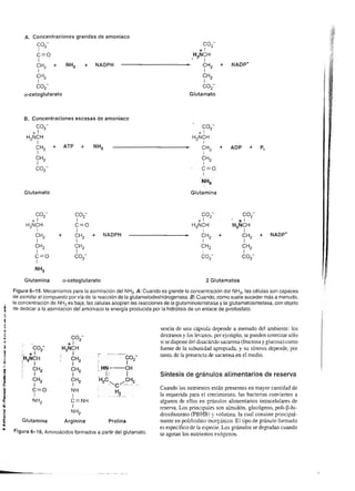 3€H#
                                                                                                                                  .. E ó -                                                                                             ci
                                                                                                                                  {E;Eg                                                                                                o
o                                               o
                                                                                                                                   ó: d
                                                                                                                                  To-o
                                                                                                                                  2 -s E.q
                                                                                                                                                                         'b- f;                                                        E
                                                                                                                                                                                                                                       .e
                                                                                                                                                                                                                                       5
o                                               o
                                                                                                                                  gsEr                                   lo-?-Ql                     ,                    d            E,
o
o
E
s                  o-
                                                .9
                                                o
                                                E
                                                ñ
                                                                                                                    E
                                                                                                                    o.
                                                                                                                    o             .xEHE                                  iI),*i
                                                                                                                                                                         r:tf1 |
                                                                                                                                                                         t-         -..- /.          '.
                                                                                                                                                                                                                         € p
                                                                                                                                                                                                                         o-
                                                                                                                                                                                                                            6
                                                                                                                                                                                                                            e
o                  o                                                                                                z              H O-q-                                       2-(l                                        d
p                                               o                                                                                 :Qro
                                                                                                                                     gT                                                                                                o
o
                   z                            E                     T
                                                                      z                                              +
                                                                                                                              9 .E H
                                                                                                                              G   6o*=
                                                                                                                                                                         ¡,- -- -,..1 r¿             l                                 6
                                                o                                                                                                                                                                                   ó
E                  +                            o                                                              ,O             E Esse                                                                     I
                                                                                                                                                                                                                                    b
                                                                                                                                                                                                                                       G
6
o
                                                a                      +                                       drr f f d
                                                                                                               o-o-o-o-o      =   -6dd
                                                                                                                                                             t--G
                                                                                                                                                                           s       N        N            Í           ..E               E

                   -
                                                o
                                                                                                                              E' ['i E-g                     ^* -
                                                                                                                                                             qIIXIIIi
                                                                                                                                                             o-q-o-o-o-z-rJ-z                                      Ir :6               o
o
c
.9
                   z                            o
                                                c
                                                .9
                                                                      o-
                                                                      F                                                       S s i3
                                                                                                                              d E;.eo
                                                                                                                                            s                  +zo<
                                                                                                                                                                :c
                                                                                                                                                                                                                                    o
                                                                                                                                                                                                                                    p
o                                   o           o                                                                                 .a;i+-!                                                                                          .d
o                  +E                                                                                                                                                                                                                  o
                                                                       +                                                          !t o_Q.=                                                                                          .g
      ,^19                                      c
o
o
      () il - r
      o ()-o-()-(J OE
                                                o
                                                o
                                                q    b-;"+'b                                   €               d"¡f
                                                                                                                         o
                                                                                                                      f rl z E    E b,6
                                                                                                               o-o-o-o-()- f g boñd
                                                                                                                                     $                            ¡O                                                     E
                                                                                                                                                                                                                                     E


                                                                                                                                                                 ,o-o-o-o-o*z f
                                                                                                                                                                  d-fflt
o                    o                          o    ()-o-(j-()-o                                                            ts                                                                                          ._c       d
o                                               o                                                                                                                                                                        E

<
                                    o
                                    ?
                                    é           ai
                                                             o3                                =
                                                                                                                 f              i-{5g
                                                                                                                             O P.= PT
                                                                                                                                                                 1+Z
                                                                                                                                                                             o
                                                                                                                                                                                                                         G
                                                                                                                                                                                                                         5
                                                                                                                                                                                                                                   ¿
                                                                                                                                                                                                                                    G
                                                                                                                                                                 :-, -,-L---lr      ,   .                                6         5
                                                                                                                                                                                                                                   o
                                                                                                                                  F$TE                                                                                             t!-

                                                                                                                                         1ry) u¡ F qr-.!tr       ¡f nttlt       I xrqu         ru            r, FW,               A




                                                                                              Sdiri                                                                                                          ñ 6 +SAY
                                                                                                                                                                                                             c=-!
                                                                                                                                                                                                                                            J
       oo                                H               E E.9                                =FÓd
                                                                                                   E.i s
       O()                               o           ¡ o,:                                   E"                                                                                                              ;EáES
     1 _
     /
                                         _
                                         o
                                         c
                                         o
                                                      úO:
                                                      ú ú*
                                                     €oo
                                                      o-    É
                                                                                    o
                                                                                    9
                                                                                              küúE
                                                                                             EIE 9
                                                                                              EH     é€
                                                                                                           S
                                                                                                                                                                                                             3 EA E;
                                                                                                                                                                                                             PSoP-
                                                                                                                                                                                                             -óo:_g
                                        'i            tr x9                         (!        ¿'ñúbl                                                                                                              q
              ,t
                                        *
                                        u
                                         oodi         q é8
                                                      cñ?                           g tFr*                                                                            96
                                                                                                                                                                                                             E
                                                                                                                                                                                                             $üs$e
                                                                                                                                                                                                                      út,H
              I
                                         o
                                        .E           =l:
                                                            d
                                                                                    3
                                                                                    g ÉEE€                                                                                                                     -FE
                                                                                                                                                                                                             É'g
,:¿
              I
                                6
                                d
                                6
                                o
                                        !V+
                                        ox
                                        D;
                                                         E E'E
                                                         Ec ó
                                                         o!.=
                                                                                      i;ü!
                                                                                     q)      i ó-d I
                                                                                                                                                        '.
                                                                                                                                                        N
                                                                                                                                                         +*ü -*o
                                                                                                                                                        +-
                                                                                                                                                                      Ég,                                    c Q Q oE
                                                                                                                                                                                                             €E,ÉEq
                                                                                                                                                                                                                               E

                                                                                                                                                               ()t

     rl-
              I                         of!
                                        q3
                                                         Ko-H
                                                         3€
                                                                                    .c
                                                                                     o
                                                                                             !-L-3
                                                                                              e"¡ 6'á
                                                                                                                                                        *                                                   ss
                                                                                                                                                                                                             :v6dJo
                                                                                                                                                                                                              o ! o od
                                                                                                                                                                                                                      8 9:b
     oo
      /_                               pá
                                                                  3                  CL       A P €=                                                                                                          OQLñN
                                                                                                                                                                                                              o od o c
                   o                    cÉ           €tE                            .éE S:EE                                                                                                                 EB-'ls€
     /o
     (,)o                               3R !El e
                                           c o x
                                                                                    sg
                                                                                                                                                                                                              d c@
                                                                                                                                                                                                                  6FS:
                                                                                                                                                                                                             -t'9>!!^
                                                                                                                                                                                                                               ;

      //d
                   (J                   €E IH:
                                        ó!            ó    *'r
                                                                                             Er      E     E
                                                                                                                                                                                                             I
                                                                                                                                                                                                               3o
                                                                                                                                                                                                             € E-
                                                                                                                                                                                                                  L
                                                                                                                                                                                                                          EUq
                                                                                                                                                                                                                          F o!
                                        N=            c    É I
                                                                                    SE É;?                 A
                                                                                                                                                   +
                                                                                                                                                                                                 _ = O ¡E -
                                                                                                                                                                                                   tso-.!e69
                                                                                    e s 3tr:'i
              l                         -g            d
                                                           =
                                                               !                                                                                  L

                                                                                                                                                                                                á iEETEfi
                                                      o

-{" I
              I.   o,+
                                        oe
                                        ;{           É';
                                                           -*
                                                                           P
                                                                                    cP       - E:          €             o
                                                                                                                         c
                                                                                                                                                  o
urá                    -       o
                                         ;3          !!E
                                                                  Y.

                                                                                    66 .:bEE                             !                         o
                                                                                                                                                                                                      9¡     .3 e 5 E
                            l
                                o
                                         od
                                        6E                                                                          d- E'-                        @
                                                                                                                                                                                                              F+ l.N >=

              ls ¡
                                        €o
              lr-                        od           o
                                                     !tr -
                                                                                          ñFdc             '             o
                                                                                                                         E                                                                                   eg H:€?
                                         dd
                                                                               .E e,É;sg
                                                                                  -b-ot
                                +                                                                                                                 o-                                                         átr 4 "'É O
                                                                                                                         q'                       F
                            o
                            .t
                                o        óc
                                        '6f!
                                         ño
                                                      q>
                                                      oü
                                                     E!                        o   ¿S o 96                                                        o                                             ¿            2€*€Ee
                                                                                                                                                                                                             o I ) >€^
     or r
     ooo                    .E
                                        Ei;           E:P
                                                                               ^J
                                                                                          C É =É "
                                                                                          .üovE4
                                                                                           ODñ:6 ¿
                                                                                                                                                  @                                                          v o o+';                  q
                            o
                                                                               =
                                                                               o          q ii-E 1         g                      I
                            a
                                l       d¿            o ó
                                                      pd
                                                      ü-q*                     ts         áÚE3E                                   o.6                                                                            F* L
                                                                                                                                                                                                             ÉE d NOÉA
                                        SB                                     o          €Ef.Í-
                                                                                                                                                                                                             'OU
                                                                                                                                                                                                             E,t93sP
     /                                 *t            E;r                      I
                                                                                          'gü.E88    6!d                          E.e 3
                                                                                                                                  b.o:
                                                                               e
                                                                                           H o-
                                        üA            o.Q'ó
                                        do            ct
                                                     .ü-t         -                                                               háÉ                                                                        EE üÉ Hg
              i¡                        ":bi          q=b
                                                                               ,Y
                                                                               '8         ,! t E:
                                                                                          áil":t
                                                                                                           S

                                                                                                           $
                                                                                                                                  h o.9
                                                                                                                                  OS¿ó
                                                                                                                                                                                                             oP5E5";
                                                                                                                                                                                                             NL O O O

   a>                                   ac
                                        ño           ¡
                                                     €ÉE
                                                           oi j                rg
                                                                               O
                                                                                          Ac O,-
                                                                                          = C-=H
                                                                                                           C
                                                                                                                                                                                                             issgnl
                                                                                                                                                                                                             ü ó 9 c EQ
                                                                                                                                                                                                                         -




s-4- á.r
     z
                                         -o
                                        .ó:
                                                      o-'ü
                                                      di          o
                                                                               o
                                                                               &          .g ió-c
                                                                                          ;b=.!; gt
                                                                                             #€ g
                                                                                                                                                                                                             , c
                                                                                                                                                                                                                 o
                                                                                                                                                                                                                   d oS
                                                                                                                                                                                                             ! o " N c>
                                                                                                                                                                                                             'E'eEEEt
     '-I
     ol                                 E; !# !
                                        -!            "oE
                                                                               cL
                                                                                          ¡;'c I €i
                                                                                                                                                                                                              - O ñ o dF
                                                                                                                                                                                                             E= - 611
     O
       o                               tE
                                        9o
                                                     E.s
                                                     i'q
                                                                               o
                                                                               E
                                                                                          q-.= --.
                                                                                     E-!.é UH
                                                                                                                                                                                                             SFEpi?"
                                                                                                                                                                                                               . ó 6i;* A
      ,o
     //o                                                                     th   ¿ -9¡ c.A                                                                                                                = oo.o:                   o_
     ()N
     /c
                                        éo
                                        G.g          -!q.9
                                                      ", h.6                   q=
                                                                                     U9-P-
                                                                               9?(g :esJ6E I                                                                                                                 [5       Efl EA
                                                      i o -                             F : E
                                                                                          ;i-gó=bD                                                                                                           siiYó9s
                                                                               üE ¡€]!!
                   @                    =.9
                                        o!            " = E                    =r                                                                                                                            J F-A.Q+
                                        Lq            o¡d                                                                                                                                                    oE:-.ot
                                                                                                                                                                                                              Üütñb
                                                                                                                                                                                                             iT
 