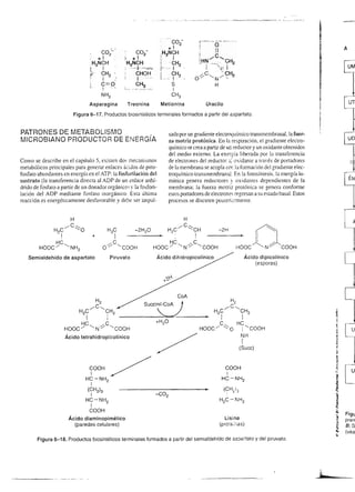 ---u------------
                                                                                               t¡                                            ----,'       *--+               A-                                                                    9ñO
                                                                                                                                                                                                                                                   oóL
                                                                                                                                                                                                                                                   --90

                                                                                                                                                                                                           -g
                                                                                                                                                                                                            Jc
                                                                                                                                                                                                                                                  ;e6P
                                                                                                                                                                                                                                                     S-+o
                                                                                                                                                                                                            I'E                                    t+ÉE
                                                                                                                                                                                                           T6
                                                                                                                                                                                                            lo                                    !tgE,
                                                                                                                                                                                                            Y.9             d                     3ÉsÉ
                                                                                      o
                                                                                                                                                                                                              ()            d
                                                                                                                                                                                                                            4                      89:g    I
                                                                                      o                                                                                                                    -9
                                                                                                                                                                                                            o
                                                                                                                                                                                                            l6
                                                                                                                                                                                                           qc
                                                                                                                                                                                                                            F3
                                                                                                                                                                                                                                                  I
                                                                                                                                                                                                                                                  _PEFE B*i'
                                                                            o
                                                                                      ¿
                                                                                                                                                                                                            ,.É
                                                                                                                                                                                                            lo
                                                                                                                                                                                                                            OE
                                                                                                                                                                                                                                                  ó:a=
                                                                            (                                                                                                                    .9.
                                                                                                                                                                                                            lo
                                                                                                                                                                                                                           .4.&
                                                                            ¡         z            6Z                                                                                                       iEo
                                                                                                                                                                                                           -Q              -d
                                                                                                                                                                                                                            lo                     hi:65
                                                                                                                                                                                                                                                   ó-;i a !
                                                             L                        l¿           E:                                                                                            E
                                                                                                                                                                                                 o                         ño
                                                                            Eo        L
                                                                                                   o¿
                                                                                                   OL
                                                                                                                                                                                                 ¿         -!
                                                                                                                                                                                                           I                ri                    DJ I d
                                                                                      o                                                                                                                    o                ¿<                    'a o ?F
                                                         z                  oo
                                                                            ac        l            óo
                                                                                                   <l                           d
                                                                                                                                                                                                 .q
                                                                                                                                                                                                 d                          6É                     op: o
                                                         l:                                                                    6                                                                           _9
                                                                                                                                                                                                                            i:
                                                         o                  iiO       6            oo                                                                                                      o                                      'i < "oo
                                                                            -c        o                                                                                                                    o               ¿>                      6 il It
                                                                              'O      o
                                                                                      o            oe                                                                                            z                         <;
                                                                                                                                                                                                                                                  :<5."
                                                                             l@       .o           ri   .H
                                                                                                                                                                                                 f
                                                                                                                                                                                                                           <ó
                                                                                                                                                                                                                           J=                     OZDF
                                                                              lq       c           Ho
                                                                                       o           JÉ
                                                                                                        '6                                                                                       o-                        o                      ¿5Bs
                                                                                      o
                                                                                     .u
                                                                                                        .6                                                                                      o                          o                       g-oEg
                                                                                                                                                                                                l                          f,
                                                                                                                                                                                                                                                   oo::.ó
                                                                                                                                                                                                                                                  i¡ Ea¿



                                                                                                                                                                                                                                                                      l
                                                                                                                                                                            (,H, ¡r e¡qr¡qr                     f6 qúq)        eW
                                                                                                                                                                                    f
                                                                                                                                                                                                                                          Fery   E FrrorPa I




     i


:l
     I
     I                                                             *é3.!{iü¿seA
                                                                  ; q E gE u'¿!€f'l                                                   o  -
                                                                  ÉEfEá¡;:59                                                          o
                                                                                                                                      O      .c
                                                                                                                                                 o
                                                                  E.9EfoFñ.sfl:                                ñ
                                                                                                              //                      =^
                                                                                                                                        o6
                                                                                                                                        oSo
                                                                                                                                              c                                                                                                                   o


                                                                  E5EÉÉt gEsE
                                                                                                                                                                                                                                                                ¿
                                                                                                                                             .4R
                                                                                                                                             E6-                                            I                                                                  6
                                                                  E,Eif;;'sHgü:                                                              oS)                                            o                                                                  o
                                                        ci                                                                                   p                                              o
                                                     6            9EBi5F:€EfrE                                                        O
                                                                                                                                      o                                 I
                                                                                                                                                                                            O
                                                                                                                                                                                                      I:   a                                                   I
         'Jl-$
                                                     6
                                                     o            5    Ff   ;;En      3 E E'E                                         o
                                                                                                                                      r
                                                                                                                                                               fro
                                                                                                                                                                                        r z-a                         tra       _s!        3
                                                                                                                                                                                                                                                   qü          il
         t
         ;
               o-o/
              / y                          o
                                                    ¡t
                                                    !
                                                                  fl!   s f;''3    Ea;'EtE                        I
                                                                                                                  N                                                                      /
                                                                                                                                                                                           o                          ót:c"l
                                                                                                                                                                                                                      ^zlrz
                                                                                                                                                                                                                      (J_o*o--.o                   ;-"t
                                                                                                                                                                                                                                                  f,goo ü
                                                                                                                                                                                                                                                               :'i
         :O=9 I zT                         É        t             frÉi€ÉEü:84                                         I                                                 oN-                                                     _T
         i    r /                          p       o
                                                    o
                                                                                                                                     I
                                                                                                                                     o                                                      ()
                                                                                                                                                                                                                                                        b
         i
         :I
               z-o                                  6             s:É$c*tHEgüg
                                                                                                                                              o
                                                                                                                                             .9                                             o                                                                 o
                                                                                                                                                                                                                                                              =
                                                                                                                                                                                                                                                              p
                                  'o                                                                                                 O       É                                              o
                                                 o
                                                 o
                                                    o
                                                                  $Esf;i¡E¡:si                                r                u             6                                              I                                                                 .q
                                                                                                                                                                                                                                                               E
                                                                                                                                             'a                                                                                                                o
         r^.                      f         6
                                                    E
                                                    o             : i l€ iE.g.',E E r
                                                                  8.E g E E é.5 s -li &            ro
                                                                                                             /t
                                                                                                                                 
                                                                                                                                  z          o                                                                                                                b
         A'-Ssoc
         ó-Q-ó.é-.n-6                      '5
                                                in
                                                                  Éñ3iéügFEfi[
                                                                                               3
                                                                                                              O-                             E
                                                                                                                                                           o
                                                                                                                                                          ()   -.1                                                                                            D
                                                                                                                                                                                                                                                              e
                                                                                                                                                               ÉI o
                                                                                                                               (_)
                                                                                                                                             E                                                                                                                o
             il;                           6
                                           ¿
                                                .s
                                                    E                                                         r                I
                                                                                                                                     o 3     o       tt        O,                                                                     s                       o
                                                                                                                                                                                                                                                               q


                                                                  á tEíEr;¡a
                                                    o
                                                                                                                                     8                         '"-/I           I+
                                                                                                                                                                               T                                                                              €
             t
             "+ -19 J'{
             ó-ó*ó-ü i
                         ..F-!
                           q=          I

                                           .E
                                                .8
                                                 c                cE            É€:Xr€'":
                                                                                                                                     :E
                                                                                                                                                                sl              f                                                     ?
                                                                                                                                                                                                                                                            €
                                                                                                                                                                                                                                                              6
                                                                                                                                                                                                                                                              E
                                           F    '6
                                                                      ai*s I                   !             +l
                                                                                                                                                               il
                     +2,               I                                                                                                                                                                                                                      o

                     -:r1F
                                           ó    .9
                                                o                 -u                                                                 :c
                                                                                                                                     a)
                                                                                                                                                                                        I
                                                                                                                                                                                                                                                           E
                                                ó                                                                                                                                                     o

                                                                 eH .¿"d^ i€i
                                                                                                                                     ()
                            '""'"          E
                                                o
                                                !
                                                 l
                                                                    Ég€i                                     O-
                                                                                                                                 /)          o                                          o
                                                                                                                                                                                        o
                                                                                                                                                                                                     o                                            oo
                                                                                                                                                                                                                                                  o::
                                                                                                                                                                                                                                                              E



            8-S-d-$:E P                         c
                                                 o
                                                                 aE
                                                                 :t9            f l?? ¡ E É
                                                                                           3 !"=                                a                                 f          o
                                                                                                                                                                                        C)

                                                                                                                                                                                           o
                                                                                                                                                                                                     o
                                                                                                                                                                                                     .9                                           93 I
             +zo                                ñ                                                                                    o
                 .:E..6
                         úd
                                                                                                                                                               :o                        p
                                                                                                                                                                                         z
                                                                                                                                                                                                     o               -+.s                         o=;
                                                                                                                                                                                                                                                  o;
                                                                                                                                                                                                                                                 .=o
                                                                                                                                                                                                                                                           .:
                                                ¿
                                                                 FH                                                                                                                                                  orr'ló                                   o
                 .         JL.J                                                                                           +O                                                                      &                  ^Z-P7*                       Ea       b
                                                o
                                                                             3 $E ü€Ég                                                       N
                                                                                                                                                                    o-         o.
                                                                                                                                                                                     o                               O-O-O-o-t-)                 q-Q       a
                                                                 EP 9FtEE:¡
                                                f
                                                o                                                        Vo                                                                    I    o                                                           Eó        I
                                                ¡T                                                      //
                                                                                                        ./                              t
                                                                                                                                    -:r ú
                                                                                                                                    L
                                                                                                                                                                    I             (J o                                                            oE       q
                                                                                                                                                                                     p                                                           Ed       ;
                                                                                                        /o                                                                       o a
                                                                 "'ü ú=E*t<9
                                                                 z$
                                                                     rÉsEÉÉ.$
                                                                 fiÉ €i¡ÉErt
                                                                                                         /E
                                                                                                             FÍr€ ¡
                                                                                                                 (-)
                                                                                                                                 ño
                                                                                                                                 XE
                                                                                                                                                                                        I
                                                                                                                                                                                                                                                          qt
                                                                                                                                                                                                                                                          ¿
                                                                 oo          11    rE=e'a     u
                                                                                                                                 -.9
                                                                                                                                     E
                                                                                                                                                                                                                                                           E
                                                                                                                                                                                                                                                           o
                                                                                                                                                                                                                                                          L

                                                                 Hg          seÉgEtE
                                                                                                                                     o
                                                                                                                                     o
 