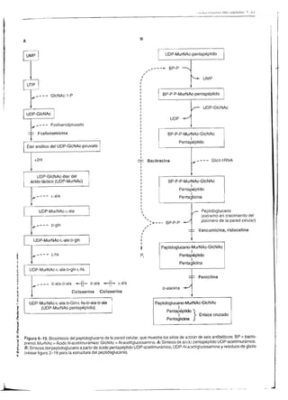 ---u------------
                                                                                         t¡                                            ----,'           *--+               A-                                                                     9ñO
                                                                                                                                                                                                                                                  oóL
                                                                                                                                                                                                                                                  --90

                                                                                                                                                                                                         -g
                                                                                                                                                                                                          Jc
                                                                                                                                                                                                                                                 ;e6P
                                                                                                                                                                                                                                                    S-+o
                                                                                                                                                                                                          I'E                                     t+ÉE
                                                                                                                                                                                                         T6
                                                                                                                                                                                                          lo                                     !tgE,
                                                                                                                                                                                                          Y.9             d                      3ÉsÉ
                                                                                o
                                                                                                                                                                                                            ()            d
                                                                                                                                                                                                                          4                       89:g      I
                                                                                o                                                                                                                        -9
                                                                                                                                                                                                          o
                                                                                                                                                                                                         l6                                      I
                                                                                                                                                                                                                                                 _PEFE B*i'
                                                                                                                                                                                                          ,.É F3
                                                                                                                                                                                                         qc
                                                                                ¿
                                                                                                                                                                                                              OE
                                                                      o
                                                                      (                                                                                                                         .9.
                                                                                                                                                                                                          lo  .4.&                               ó:a=
                                                                      ¡                                                                                                                                   lo                                      hi:65
                                                       L
                                                                                z
                                                                                l¿
                                                                                             6Z
                                                                                             E:                                                                                                 E         iEo ño
                                                                                                                                                                                                         -Q   lo         -d
                                                                                                                                                                                                                                                  ó-;i a !
                                                                      Eo                     o¿
                                                                                                                                                                                                o        -!               ri                     DJ I d
                                                                                L            OL
                                                                                                                                                                                                ¿        I
                                                                                o                                                                                                                        o                ¿<                     'a o ?F
                                                      z               oo
                                                                      ac        l            óo
                                                                                             <l                           d
                                                                                                                                                                                                .q
                                                                                                                                                                                                d                         6É                      op: o
                                                      l:                                                                 6                                                                               _9
                                                                                                                                                                                                                          i:
                                                      o               iiO       6            oo                                                                                                          o                                       'i < "oo
                                                                      -c        o                                                                                                                        o               ¿>                       6 il It
                                                                        'O      o
                                                                                o            oe                                                                                                 z                        <;
                                                                                                                                                                                                                                                 :<5."
                                                                       l@       .o           ri   .H
                                                                                                                                                                                                f
                                                                                                                                                                                                                         <ó
                                                                                                                                                                                                                         J=                      OZDF
                                                                        lq       c           Ho
                                                                                 o           JÉ
                                                                                                  '6                                                                                            o-                       o                       ¿5Bs
                                                                                o
                                                                               .u
                                                                                                  .6                                                                                           o                         o                        g-oEg
                                                                                                                                                                                               l                         f,
                                                                                                                                                                                                                                                  oo::.ó
                                                                                                                                                                                                                                                 i¡ Ea¿



                                                                                                                                                                                                                                                                        l
                                                                                                                                                                          (,H, ¡r e¡qr¡qr                     f6 qúq)        eW
                                                                                                                                                                                  f
                                                                                                                                                                                                                                         Fery   E FrrorPa I




     i


:l
     I
     I                                                       *é3.!{iü¿seA
                                                            ; q E gE u'¿!€f'l                                                   o  -
                                                            ÉEfEá¡;:59                                                          o
                                                                                                                                O      .c
                                                                                                                                           o
                                                            E.9EfoFñ.sfl:                                ñ
                                                                                                        //                      =^
                                                                                                                                  o6
                                                                                                                                  oSo
                                                                                                                                        c                                                                                                                           o


                                                            E5EÉÉt gEsE
                                                                                                                                                                                                                                                                 ¿
                                                                                                                                       .4R
                                                                                                                                       E6-                                                 I                                                                    6
                                                            E,Eif;;'sHgü:                                                               oS)                                                o                                                                    o
                                                  ci                                                                                   p                                                   o
                                                  6         9EBi5F:€EfrE                                                        O
                                                                                                                                o                                     I
                                                                                                                                                                                           O
                                                                                                                                                                                                     I: a                                                       I
         'Jl-$
                                                  6
                                                  o         5    Ff   ;;En      3 E E'E                                         o
                                                                                                                                r
                                                                                                                                                             fro
                                                                                                                                                                                      r              z-a            tra        _s!        3
                                                                                                                                                                                                                                                  qü il
         t
         ;
               o-o/
              / y                       o
                                                 ¡t
                                                 !
                                                            fl!   s f;''3    Ea;'EtE                        I
                                                                                                            N                                                                          /
                                                                                                                                                                                         o                          ót:c"l
                                                                                                                                                                                                                    ^zlrz
                                                                                                                                                                                                                    (J_o*o--.o                    ;
                                                                                                                                                                                                                                                 f,g-"t ü       :'i
         :O=9 I zT                      É        t          frÉi€ÉEü:84                                         I                                                     oN-                                                      _T                      oo
         i    r /                       p       o
                                                 o
                                                                                                                               I
                                                                                                                               o                                                           ()
                                                                                                                                                                                                                                                                b
         i
         :I
               z-o                               6          s:É$c*tHEgüg
                                                                                                                                        o
                                                                                                                                       .9                                                  o                                                                    o
                                                                                                                                                                                                                                                                =
                                                                                                                                                                                                                                                                p
                               'o                                                                                              O       É                                                   o
                                              o
                                              o
                                                 o
                                                            $Esf;i¡E¡:si                                r                u             6                                                   I                                                                    .q
                                                                                                                                                                                                                                                                E
                                                                                                                                       'a                                                                                                                       o
         r^.                   f         6
                                                 E
                                                 o          : i l€ iE.g.',E E r
                                                            8.E g E E é.5 s -li &            ro
                                                                                                       /t
                                                                                                                           
                                                                                                                            z          o                                                                                                                        b
         A'-Ssoc
         ó-Q-ó.é-.n-6                   '5
                                             in
                                                            Éñ3iéügFEfi[
                                                                                         3
                                                                                                        O-                             E
                                                                                                                                                         o
                                                                                                                                                        ()   -.1                                                                                                D
                                                                                                                                                                                                                                                                e
                                                                                                                                                             ÉI o
                                                                                                                         (_)
                                                                                                                                       E                                                                                                                        o
             il;                        6
                                        ¿
                                             .s
                                                 E                                                      r                I
                                                                                                                               o 3o            tt            O,                                                                      s
                                                                                                                                                                                                                                                                q
                                                                                                                                                                                                                                                                o


                                                            á tEíEr;¡a
                                                 o
                                                                                                                               8                             '"-/I           I+
                                                                                                                                                                             T                                                                                  €
             t        ..F-!
             "+ -19 J'{
             ó-ó*ó-ü i
                        q=          I

                                        .E
                                             .8
                                              c             cE            É€:Xr€'":
                                                                                                                               :E
                                                                                                                                                              sl              f                                                      ?
                                                                                                                                                                                                                                                            €
                                                                                                                                                                                                                                                                6
                                                                                                                                                                                                                                                                E
                                        F    '6
                                                                ai*s I                   !             +l
                                                                                                                                                             il
                     +2,            I                                                                                                                                                                                                                           o

                     -:r1F
                                        ó    .9
                                             o              -u                                                                 :c
                                                                                                                               a)
                                                                                                                                                                                       I
                                                                                                                                                                                                                                                            E
                                             ó                                                                                                                                                       o

                                                           eH .¿"d^ i€i
                                                                                                                               ()
                         '""'"          E
                                             o
                                             !
                                              l
                                                              Ég€i                                     O-
                                                                                                                           /)          o                                               o
                                                                                                                                                                                       o
                                                                                                                                                                                                    o                                            oo
                                                                                                                                                                                                                                                 o::
                                                                                                                                                                                                                                                                E



            8-S-d-$:E P                      c
                                              o
                                                           aE
                                                           :t9            f l?? ¡ E É
                                                                                     3 !"=                                a                                     f          o
                                                                                                                                                                                       C)
                                                                                                                                                                                                    o
                                                                                                                                                                                                    .9
                                                                                                                                                                                                    o
                                                                                                                                                                                                                                                 93 I
             +zo                             ñ                                                                                 o
                      úd
                 .:E..6                                                                                                                                      :o                        z
                                                                                                                                                                                         o
                                                                                                                                                                                       p                         -+.s                          o=;
                                                                                                                                                                                                                                                 o;
                                                                                                                                                                                                                                                .=o
                                                                                                                                                                                                                                                            .:
                                             ¿
                                                           FH 3 $E ü€Ég                                                                                                                                            orr'ló                                       o
                 .      JL.J
                                             o
                                                                                                                    +O                                                                           &                 ^Z-P7*                        Ea         b
                                                                                                                                                                                   o                               O-O-O-o-t-)
                                                                                                                                       N
                                                                                                                                                                  o-         o.                                                                 q-Q         a
                                                           EP 9FtEE:¡
                                             f
                                             o                                                     Vo                                                                        I    o                                                            Eó          I
                                             ¡T       