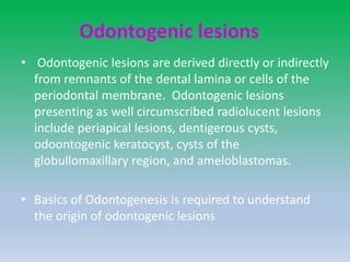 Odontogenic lesions
• Odontogenic lesions are derived directly or indirectly
from remnants of the dental lamina or cells of the
periodontal membrane. Odontogenic lesions
presenting as well circumscribed radiolucent lesions
include periapical lesions, dentigerous cysts,
odoontogenic keratocyst, cysts of the
globullomaxillary region, and ameloblastomas.
• Basics of Odontogenesis is required to understand
the origin of odontogenic lesions
 