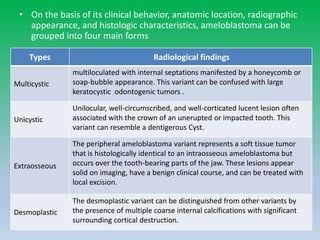 • On the basis of its clinical behavior, anatomic location, radiographic
appearance, and histologic characteristics, ameloblastoma can be
grouped into four main forms
Types Radiological findings
Multicystic
multiloculated with internal septations manifested by a honeycomb or
soap-bubble appearance. This variant can be confused with large
keratocystic odontogenic tumors .
Unicystic
Unilocular, well-circumscribed, and well-corticated lucent lesion often
associated with the crown of an unerupted or impacted tooth. This
variant can resemble a dentigerous Cyst.
Extraosseous
The peripheral ameloblastoma variant represents a soft tissue tumor
that is histologically identical to an intraosseous ameloblastoma but
occurs over the tooth-bearing parts of the jaw. These lesions appear
solid on imaging, have a benign clinical course, and can be treated with
local excision.
Desmoplastic
The desmoplastic variant can be distinguished from other variants by
the presence of multiple coarse internal calcifications with significant
surrounding cortical destruction.
 